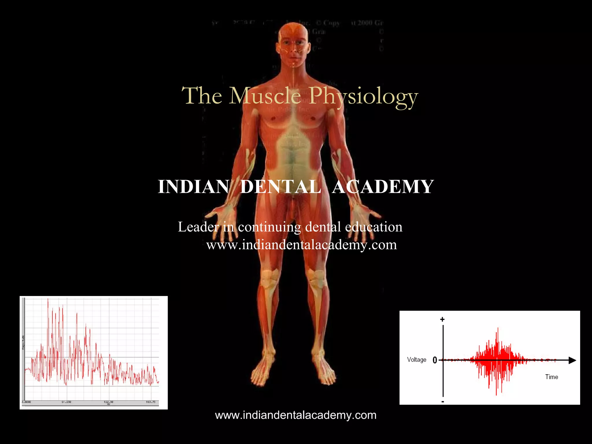 The Muscle Physiology / orthodontic short term courses PPT