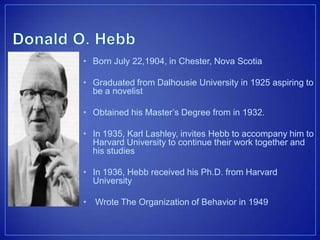 • Born July 22,1904, in Chester, Nova Scotia
• Graduated from Dalhousie University in 1925 aspiring to
be a novelist
• Obtained his Master’s Degree from in 1932.
• In 1935, Karl Lashley, invites Hebb to accompany him to
Harvard University to continue their work together and
his studies
• In 1936, Hebb received his Ph.D. from Harvard
University
• Wrote The Organization of Behavior in 1949
 