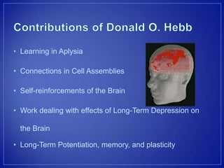 • Learning in Aplysia
• Connections in Cell Assemblies
• Self-reinforcements of the Brain
• Work dealing with effects of Long-Term Depression on
the Brain
• Long-Term Potentiation, memory, and plasticity
 