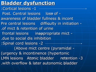Neurophysiology | PPT