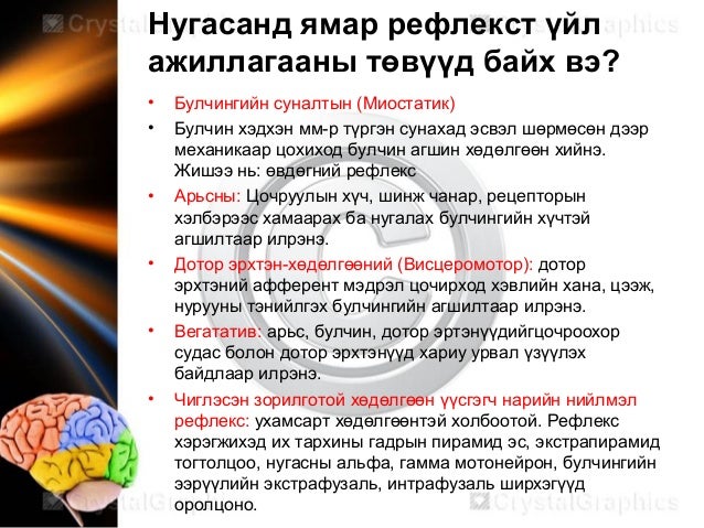 Neurophysiology мэдрэлийн физиологи