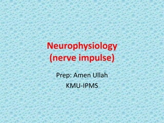 Neurophysiology
(nerve impulse)
Prep: Amen Ullah
KMU-IPMS
 