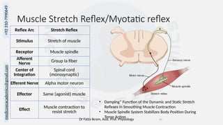 Dynamic Reflex Neurophysiology-Autonomic nervous system, sensory & motor physiology ...