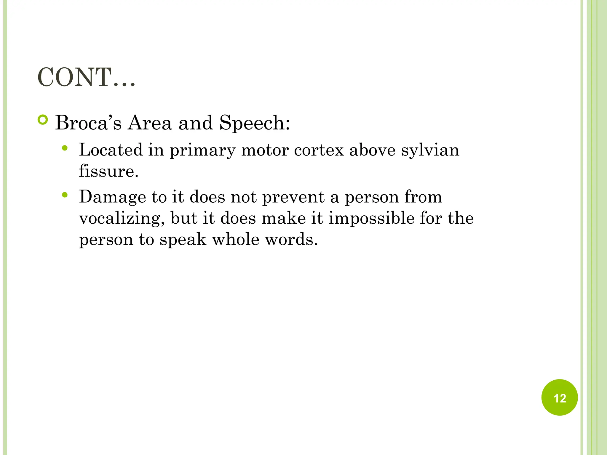CONT…
 Broca’s Area and Speech:
 Located in primary motor cortex above sylvian
fissure.
 Damage to it does not prevent a person from
vocalizing, but it does make it impossible for the
person to speak whole words.
12
 