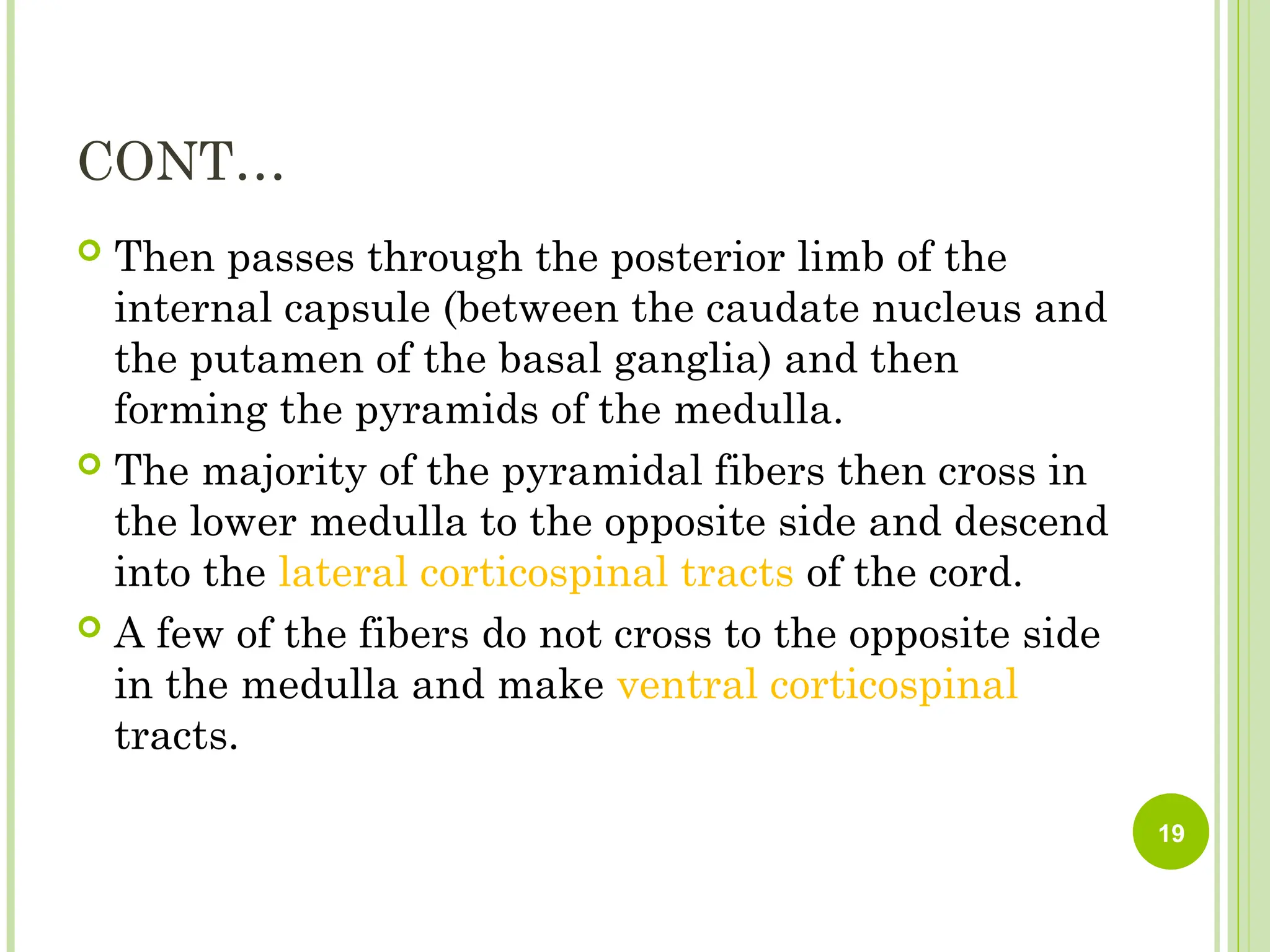 CONT…
 Then passes through the posterior limb of the
internal capsule (between the caudate nucleus and
the putamen of the basal ganglia) and then
forming the pyramids of the medulla.
 The majority of the pyramidal fibers then cross in
the lower medulla to the opposite side and descend
into the lateral corticospinal tracts of the cord.
 A few of the fibers do not cross to the opposite side
in the medulla and make ventral corticospinal
tracts.
19
 