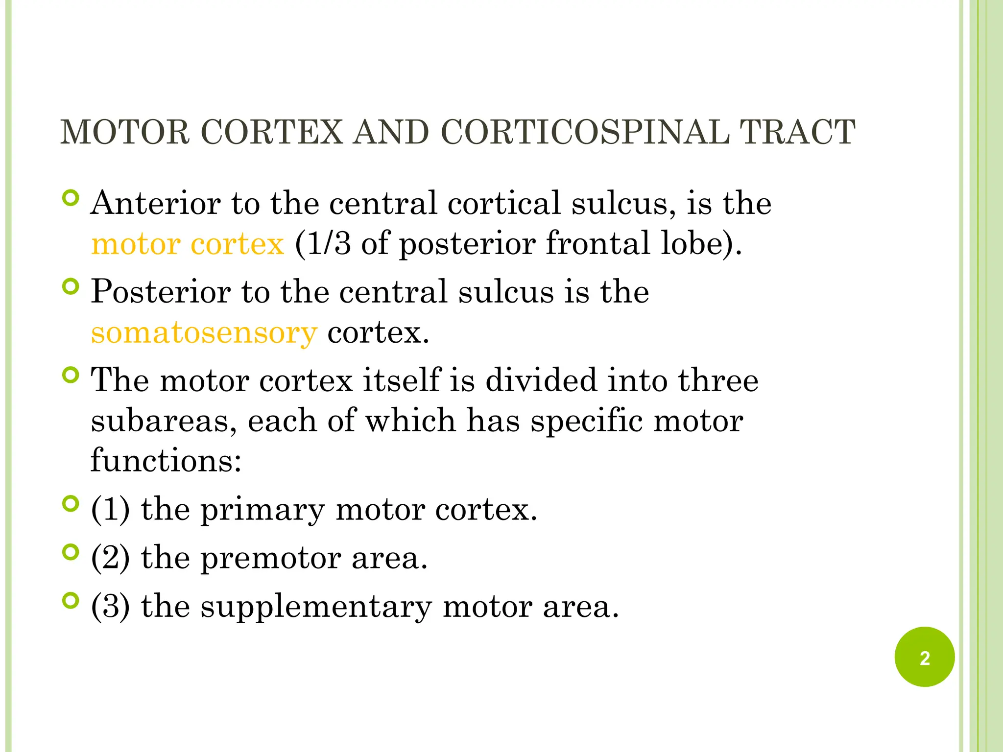 MOTOR CORTEX AND CORTICOSPINAL TRACT
 Anterior to the central cortical sulcus, is the
motor cortex (1/3 of posterior frontal lobe).
 Posterior to the central sulcus is the
somatosensory cortex.
 The motor cortex itself is divided into three
subareas, each of which has specific motor
functions:
 (1) the primary motor cortex.
 (2) the premotor area.
 (3) the supplementary motor area.
2
 