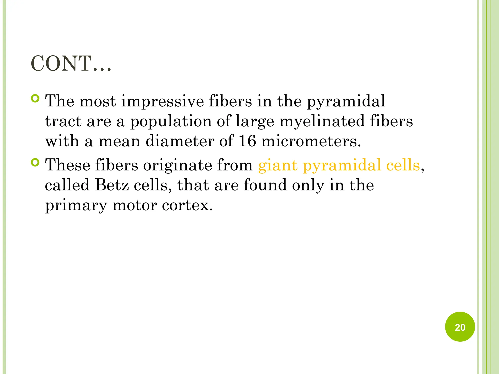 CONT…
 The most impressive fibers in the pyramidal
tract are a population of large myelinated fibers
with a mean diameter of 16 micrometers.
 These fibers originate from giant pyramidal cells,
called Betz cells, that are found only in the
primary motor cortex.
20
 