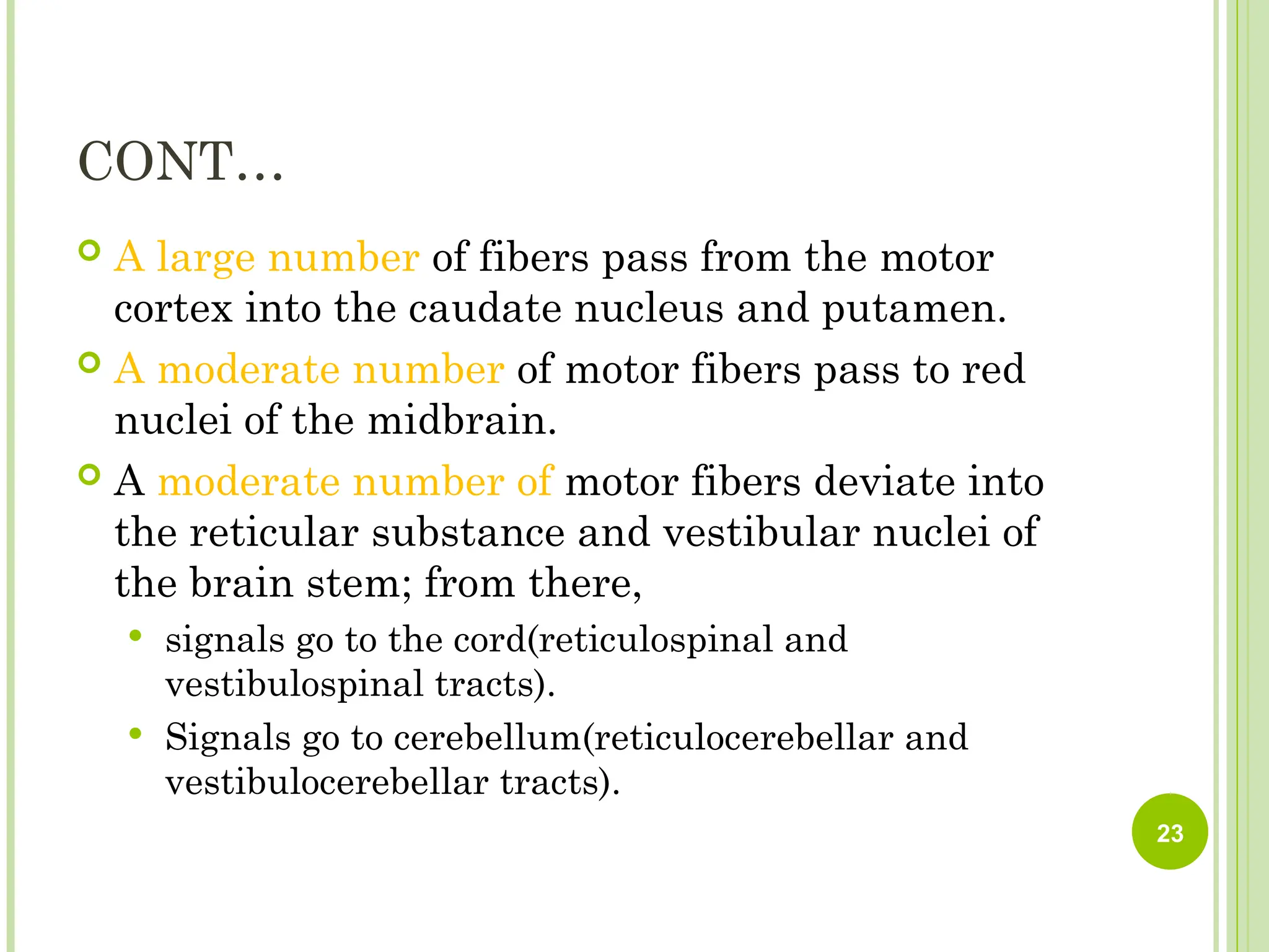 CONT…
 A large number of fibers pass from the motor
cortex into the caudate nucleus and putamen.
 A moderate number of motor fibers pass to red
nuclei of the midbrain.
 A moderate number of motor fibers deviate into
the reticular substance and vestibular nuclei of
the brain stem; from there,
 signals go to the cord(reticulospinal and
vestibulospinal tracts).
 Signals go to cerebellum(reticulocerebellar and
vestibulocerebellar tracts).
23
 
