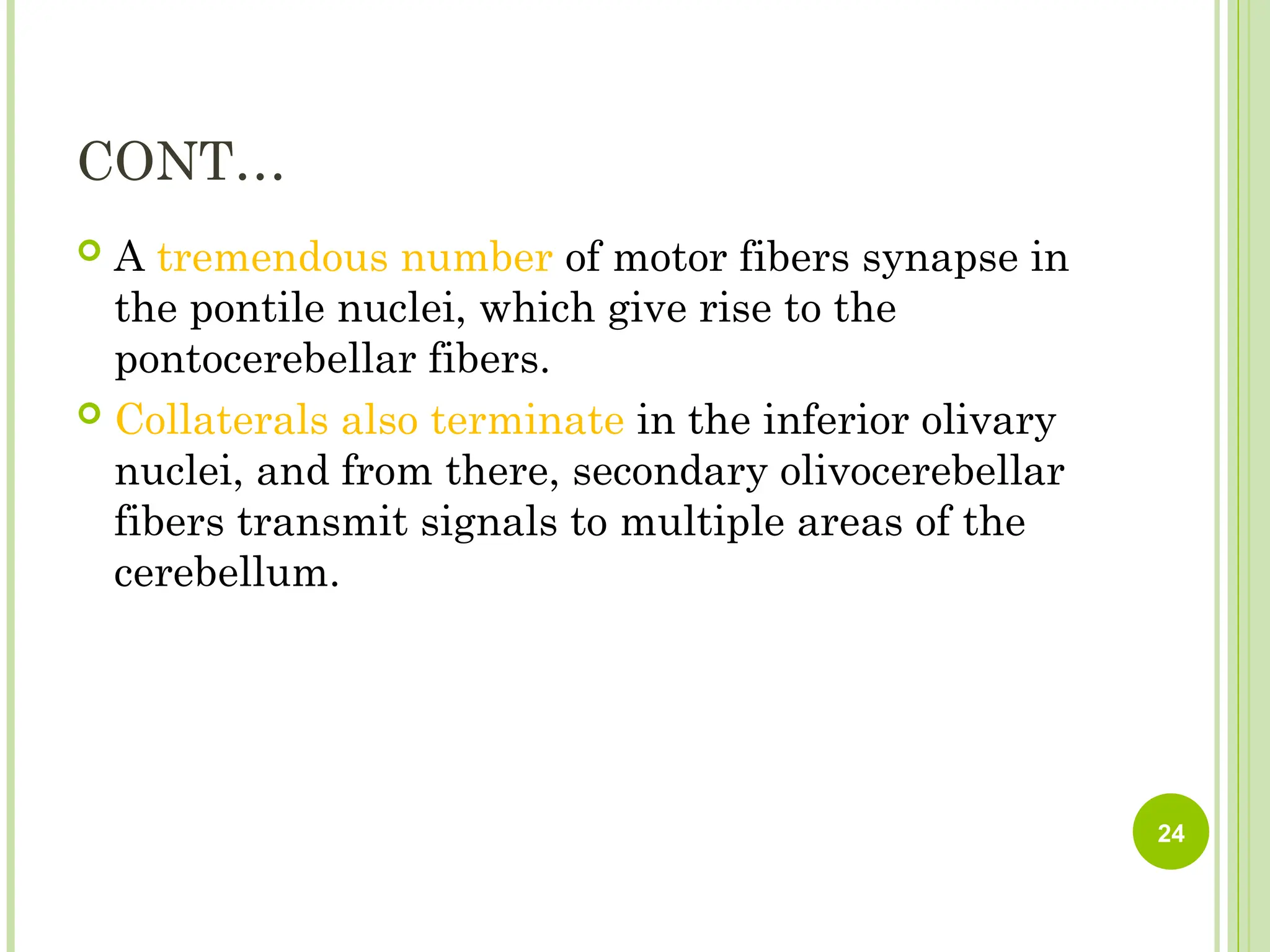 CONT…
 A tremendous number of motor fibers synapse in
the pontile nuclei, which give rise to the
pontocerebellar fibers.
 Collaterals also terminate in the inferior olivary
nuclei, and from there, secondary olivocerebellar
fibers transmit signals to multiple areas of the
cerebellum.
24
 