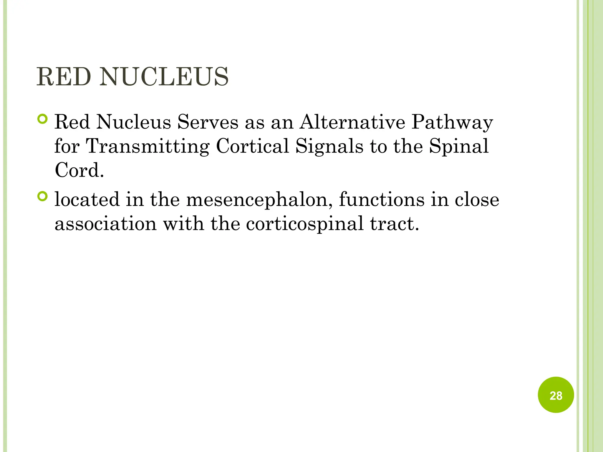 RED NUCLEUS
 Red Nucleus Serves as an Alternative Pathway
for Transmitting Cortical Signals to the Spinal
Cord.
 located in the mesencephalon, functions in close
association with the corticospinal tract.
28
 