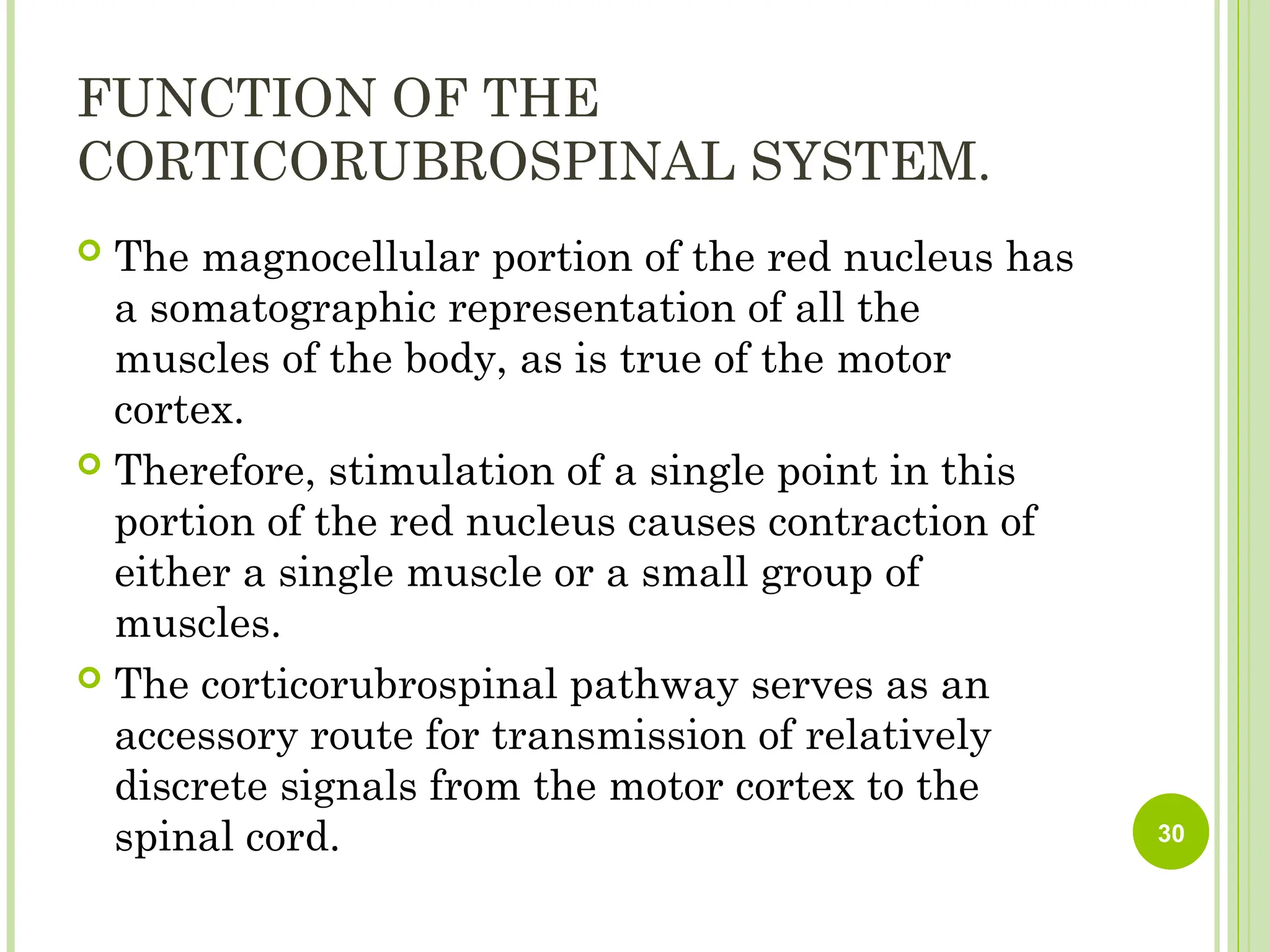 FUNCTION OF THE
CORTICORUBROSPINAL SYSTEM.
 The magnocellular portion of the red nucleus has
a somatographic representation of all the
muscles of the body, as is true of the motor
cortex.
 Therefore, stimulation of a single point in this
portion of the red nucleus causes contraction of
either a single muscle or a small group of
muscles.
 The corticorubrospinal pathway serves as an
accessory route for transmission of relatively
discrete signals from the motor cortex to the
spinal cord. 30
 