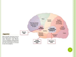 Neurophysiology 7th lecture (physiologic Anatomy of cereberal cortex).ppt