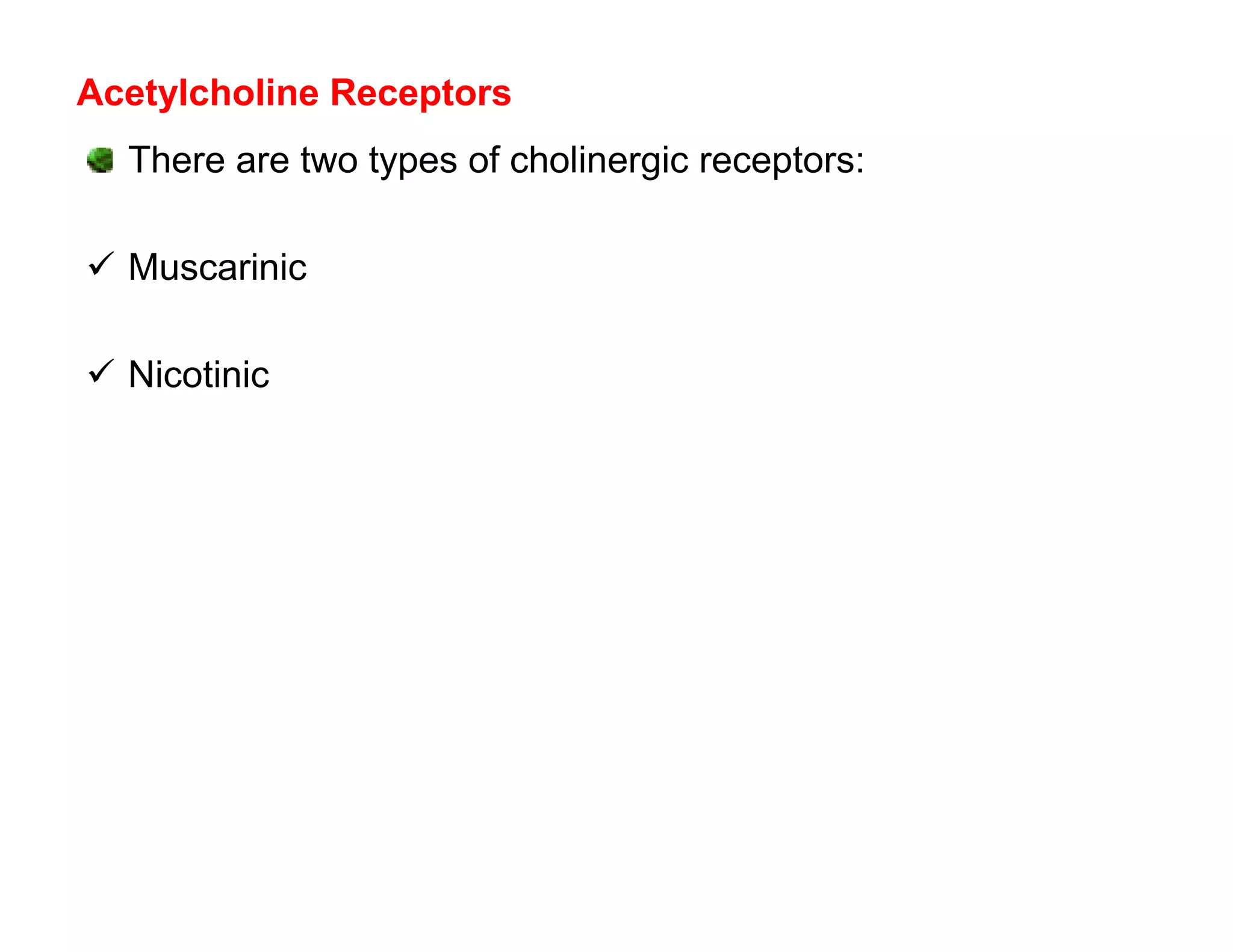 Acetylcholine Receptors
  There are two types of cholinergic receptors:

 Muscarinic

 Nicotinic
 