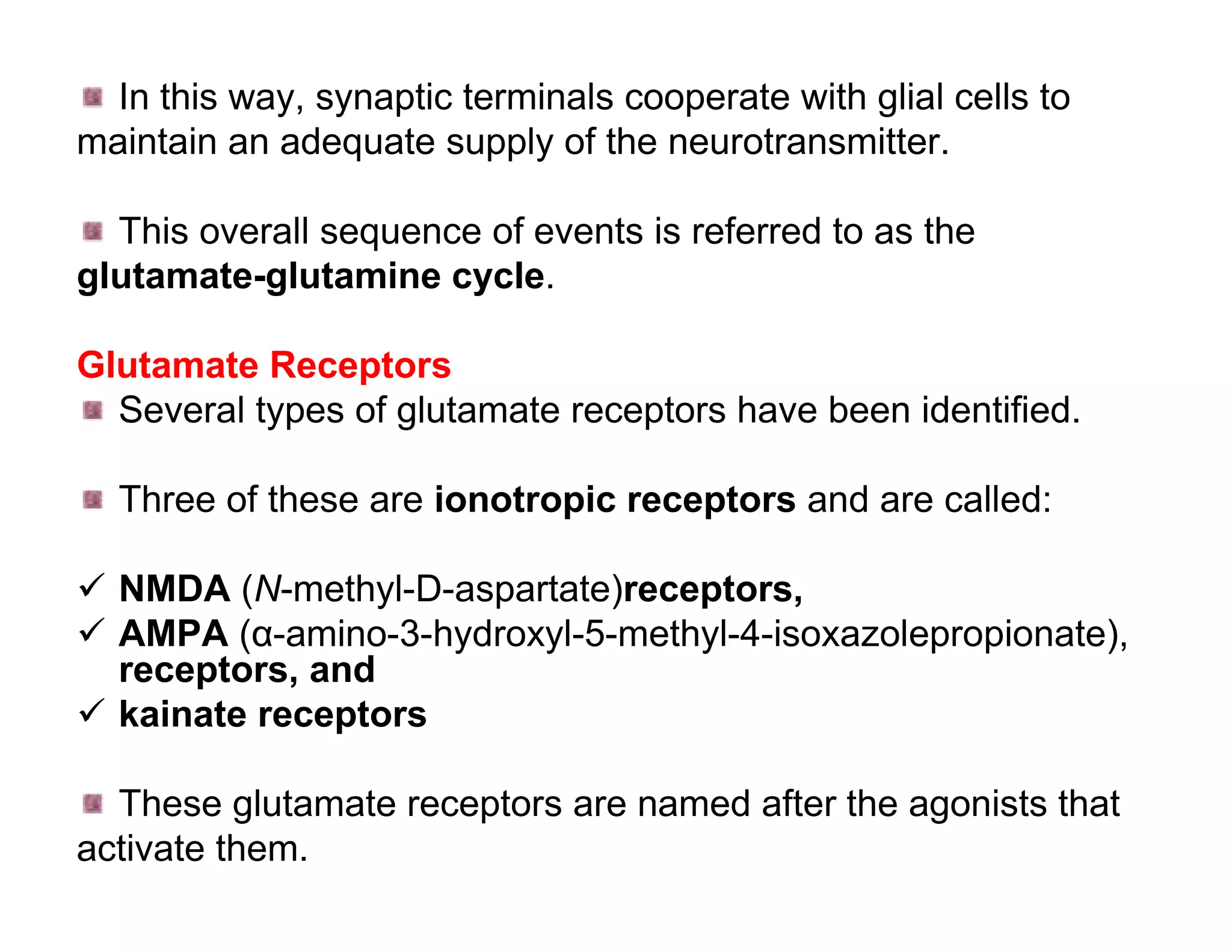 In this way, synaptic terminals cooperate with glial cells to
maintain an adequate supply of the neurotransmitter.

  This overall sequence of events is referred to as the
glutamate-glutamine cycle.

Glutamate Receptors
  Several types of glutamate receptors have been identified.

  Three of these are ionotropic receptors and are called:

 NMDA (N-methyl-D-aspartate)receptors,
 AMPA (α-amino-3-hydroxyl-5-methyl-4-isoxazolepropionate),
  receptors, and
 kainate receptors

  These glutamate receptors are named after the agonists that
activate them.
 