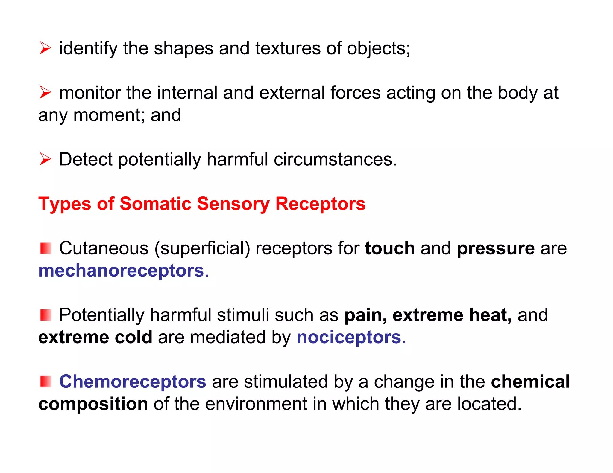  identify the shapes and textures of objects;

 monitor the internal and external forces acting on the body at
any moment; and

 Detect potentially harmful circumstances.

Types of Somatic Sensory Receptors

 Cutaneous (superficial) receptors for touch and pressure are
mechanoreceptors.

  Potentially harmful stimuli such as pain, extreme heat, and
extreme cold are mediated by nociceptors.

  Chemoreceptors are stimulated by a change in the chemical
composition of the environment in which they are located.
 