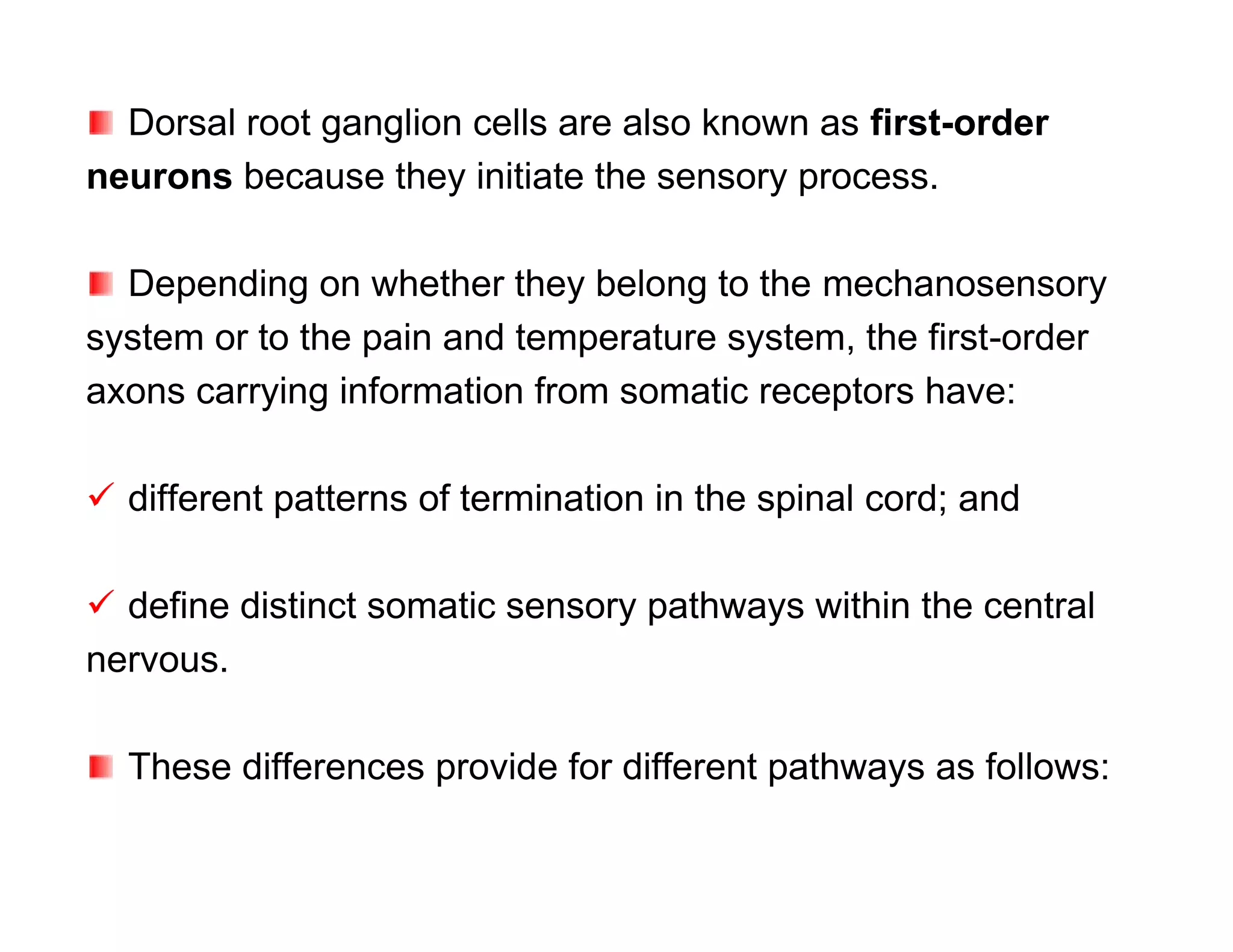 Dorsal root ganglion cells are also known as first-order
neurons because they initiate the sensory process.

  Depending on whether they belong to the mechanosensory
system or to the pain and temperature system, the first-order
axons carrying information from somatic receptors have:

 different patterns of termination in the spinal cord; and

 define distinct somatic sensory pathways within the central
nervous.

  These differences provide for different pathways as follows:
 