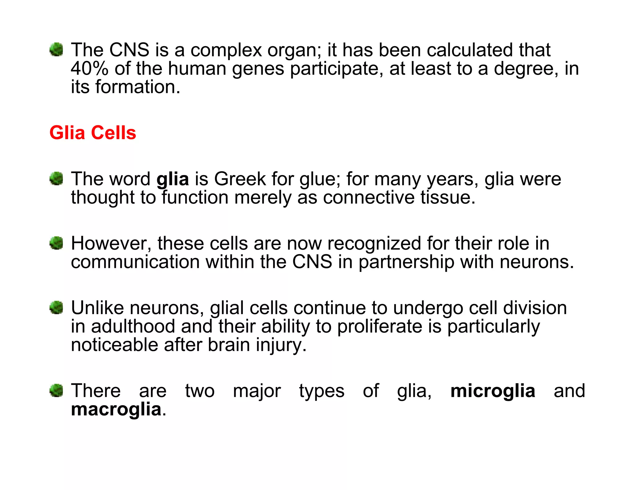 The CNS is a complex organ; it has been calculated that
  40% of the human genes participate, at least to a degree, in
  its formation.

Glia Cells

  The word glia is Greek for glue; for many years, glia were
  thought to function merely as connective tissue.

  However, these cells are now recognized for their role in
  communication within the CNS in partnership with neurons.

  Unlike neurons, glial cells continue to undergo cell division
  in adulthood and their ability to proliferate is particularly
  noticeable after brain injury.

  There are two major types of glia, microglia and
  macroglia.
 