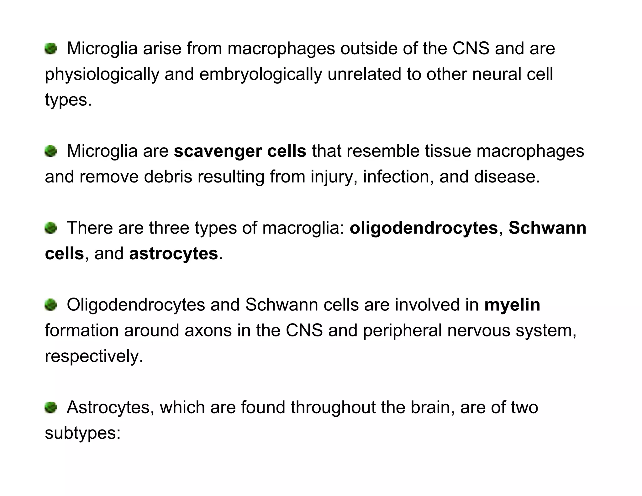 Microglia arise from macrophages outside of the CNS and are
physiologically and embryologically unrelated to other neural cell
types.

  Microglia are scavenger cells that resemble tissue macrophages
and remove debris resulting from injury, infection, and disease.

  There are three types of macroglia: oligodendrocytes, Schwann
cells, and astrocytes.

   Oligodendrocytes and Schwann cells are involved in myelin
formation around axons in the CNS and peripheral nervous system,
respectively.

  Astrocytes, which are found throughout the brain, are of two
subtypes:
 