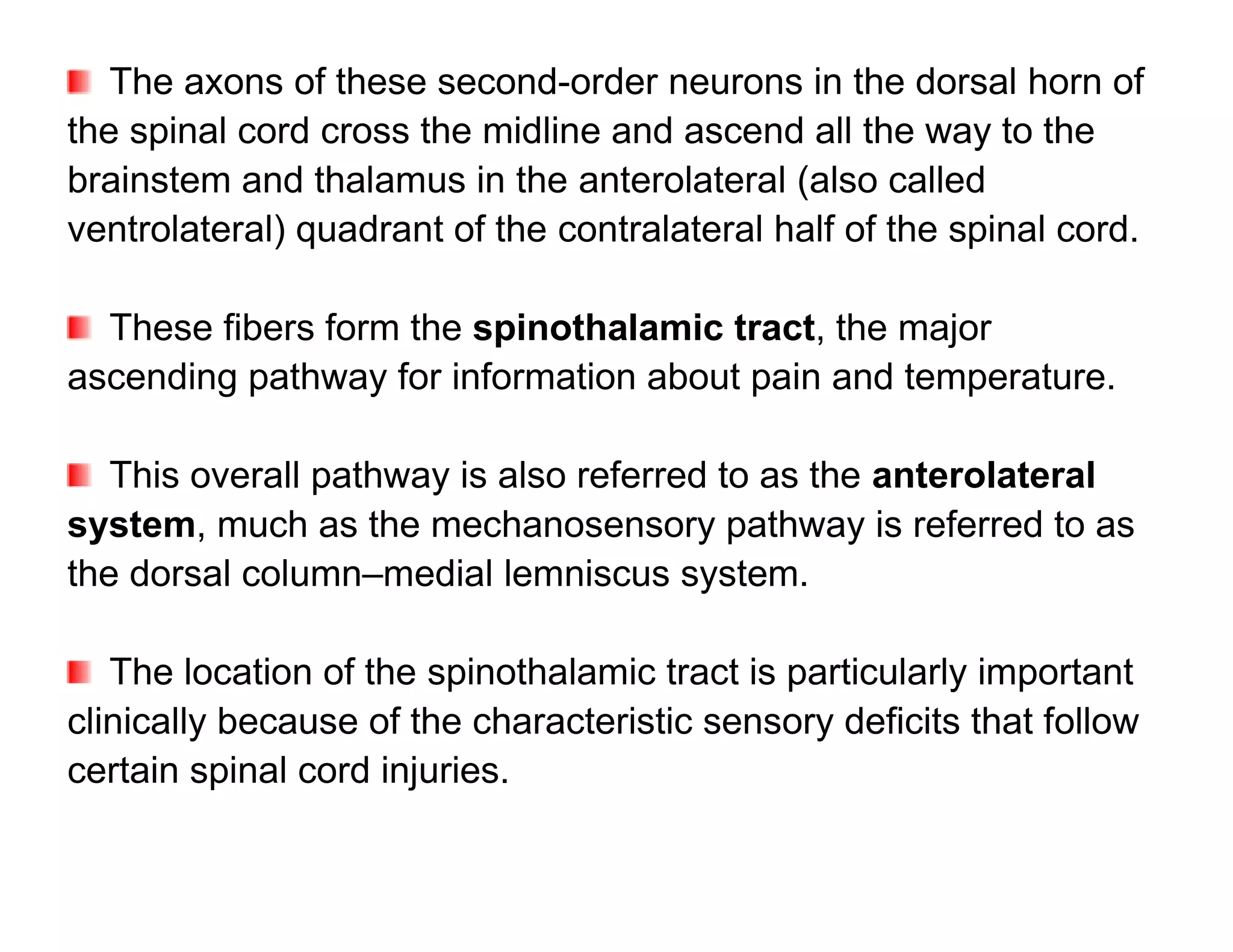 The axons of these second-order neurons in the dorsal horn of
the spinal cord cross the midline and ascend all the way to the
brainstem and thalamus in the anterolateral (also called
ventrolateral) quadrant of the contralateral half of the spinal cord.

  These fibers form the spinothalamic tract, the major
ascending pathway for information about pain and temperature.

   This overall pathway is also referred to as the anterolateral
system, much as the mechanosensory pathway is referred to as
the dorsal column–medial lemniscus system.

   The location of the spinothalamic tract is particularly important
clinically because of the characteristic sensory deficits that follow
certain spinal cord injuries.
 