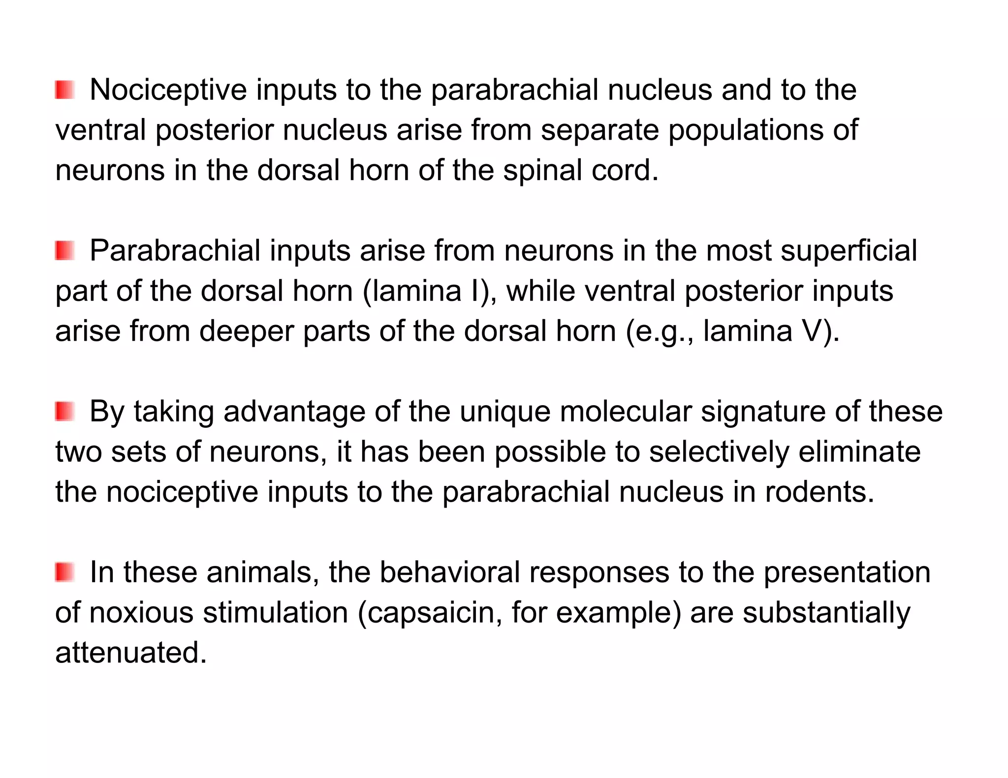 Nociceptive inputs to the parabrachial nucleus and to the
ventral posterior nucleus arise from separate populations of
neurons in the dorsal horn of the spinal cord.

   Parabrachial inputs arise from neurons in the most superficial
part of the dorsal horn (lamina I), while ventral posterior inputs
arise from deeper parts of the dorsal horn (e.g., lamina V).

   By taking advantage of the unique molecular signature of these
two sets of neurons, it has been possible to selectively eliminate
the nociceptive inputs to the parabrachial nucleus in rodents.

   In these animals, the behavioral responses to the presentation
of noxious stimulation (capsaicin, for example) are substantially
attenuated.
 