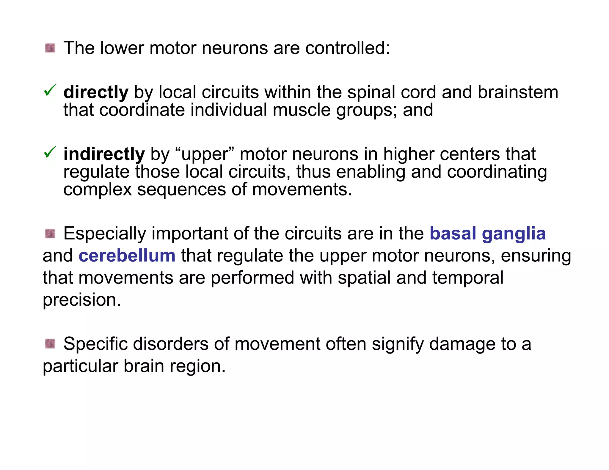 The lower motor neurons are controlled:

 directly by local circuits within the spinal cord and brainstem
  that coordinate individual muscle groups; and

 indirectly by “upper” motor neurons in higher centers that
  regulate those local circuits, thus enabling and coordinating
  complex sequences of movements.

   Especially important of the circuits are in the basal ganglia
and cerebellum that regulate the upper motor neurons, ensuring
that movements are performed with spatial and temporal
precision.

  Specific disorders of movement often signify damage to a
particular brain region.
 