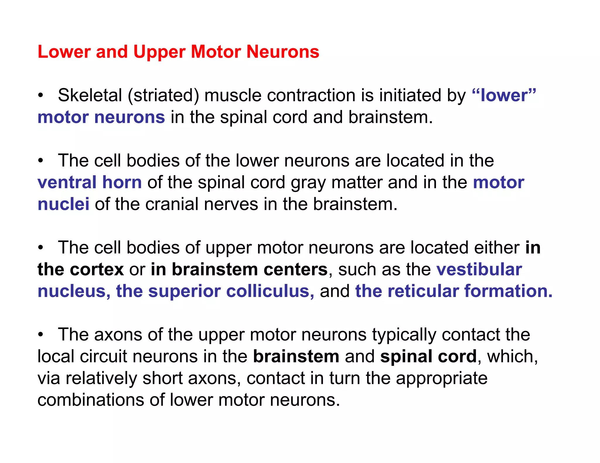 Lower and Upper Motor Neurons

• Skeletal (striated) muscle contraction is initiated by “lower”
motor neurons in the spinal cord and brainstem.

• The cell bodies of the lower neurons are located in the
ventral horn of the spinal cord gray matter and in the motor
nuclei of the cranial nerves in the brainstem.

• The cell bodies of upper motor neurons are located either in
the cortex or in brainstem centers, such as the vestibular
nucleus, the superior colliculus, and the reticular formation.

• The axons of the upper motor neurons typically contact the
local circuit neurons in the brainstem and spinal cord, which,
via relatively short axons, contact in turn the appropriate
combinations of lower motor neurons.
 