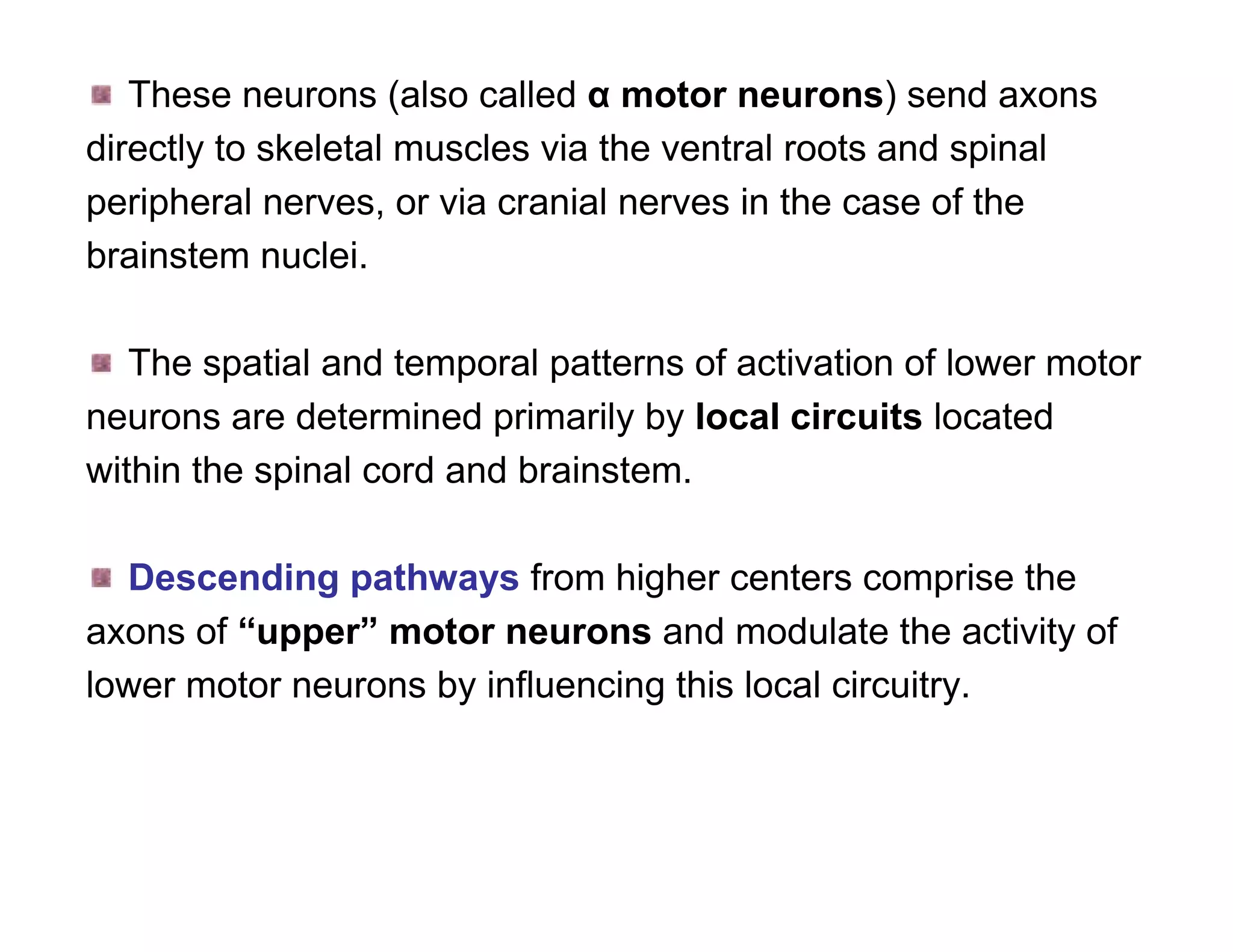 These neurons (also called α motor neurons) send axons
directly to skeletal muscles via the ventral roots and spinal
peripheral nerves, or via cranial nerves in the case of the
brainstem nuclei.

   The spatial and temporal patterns of activation of lower motor
neurons are determined primarily by local circuits located
within the spinal cord and brainstem.

  Descending pathways from higher centers comprise the
axons of “upper” motor neurons and modulate the activity of
lower motor neurons by influencing this local circuitry.
 