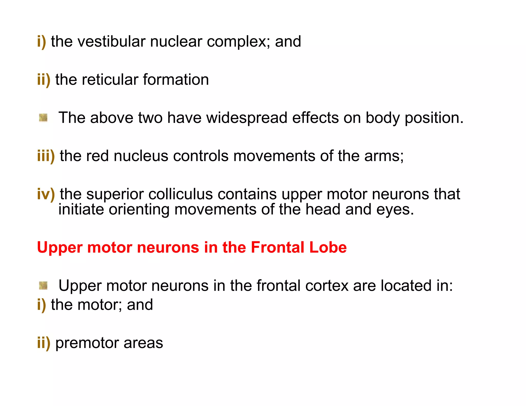 i) the vestibular nuclear complex; and

ii) the reticular formation

   The above two have widespread effects on body position.

iii) the red nucleus controls movements of the arms;

iv) the superior colliculus contains upper motor neurons that
    initiate orienting movements of the head and eyes.

Upper motor neurons in the Frontal Lobe

    Upper motor neurons in the frontal cortex are located in:
i) the motor; and

ii) premotor areas
 