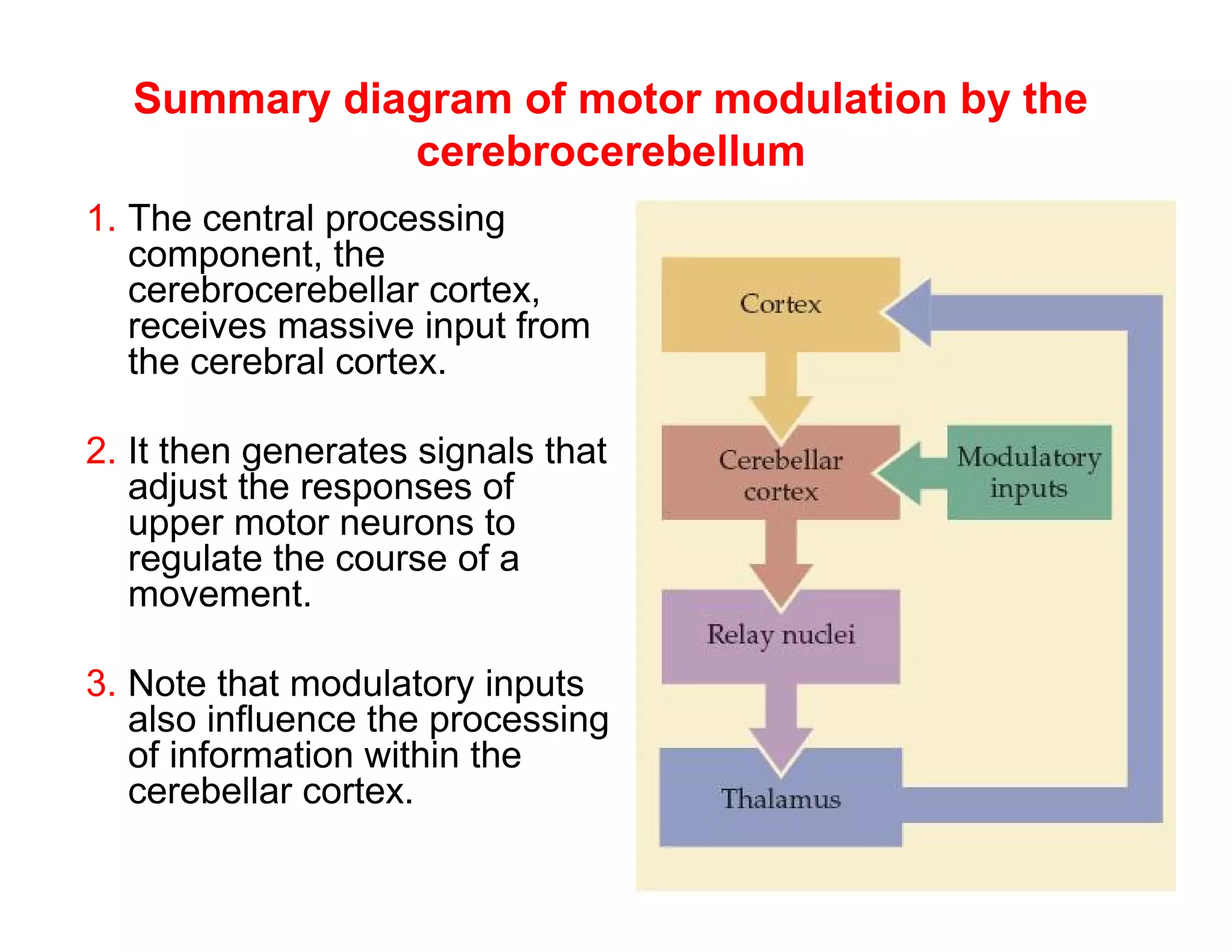 Summary diagram of motor modulation by the
             cerebrocerebellum
1. The central processing
   component, the
   cerebrocerebellar cortex,
   receives massive input from
   the cerebral cortex.

2. It then generates signals that
   adjust the responses of
   upper motor neurons to
   regulate the course of a
   movement.

3. Note that modulatory inputs
   also influence the processing
   of information within the
   cerebellar cortex.
 