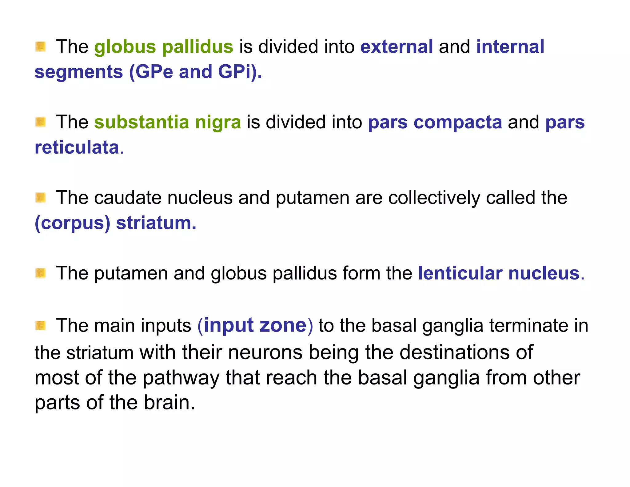 The globus pallidus is divided into external and internal
segments (GPe and GPi).

   The substantia nigra is divided into pars compacta and pars
reticulata.

  The caudate nucleus and putamen are collectively called the
(corpus) striatum.

  The putamen and globus pallidus form the lenticular nucleus.

   The main inputs (input zone) to the basal ganglia terminate in
the striatum with their neurons being the destinations of
most of the pathway that reach the basal ganglia from other
parts of the brain.
 