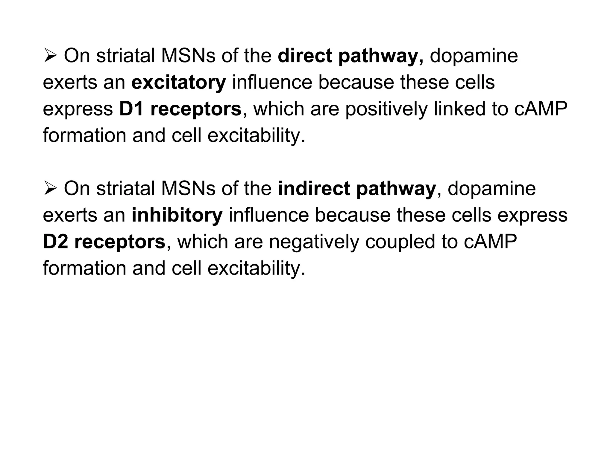  On striatal MSNs of the direct pathway, dopamine
exerts an excitatory influence because these cells
express D1 receptors, which are positively linked to cAMP
formation and cell excitability.

 On striatal MSNs of the indirect pathway, dopamine
exerts an inhibitory influence because these cells express
D2 receptors, which are negatively coupled to cAMP
formation and cell excitability.
 