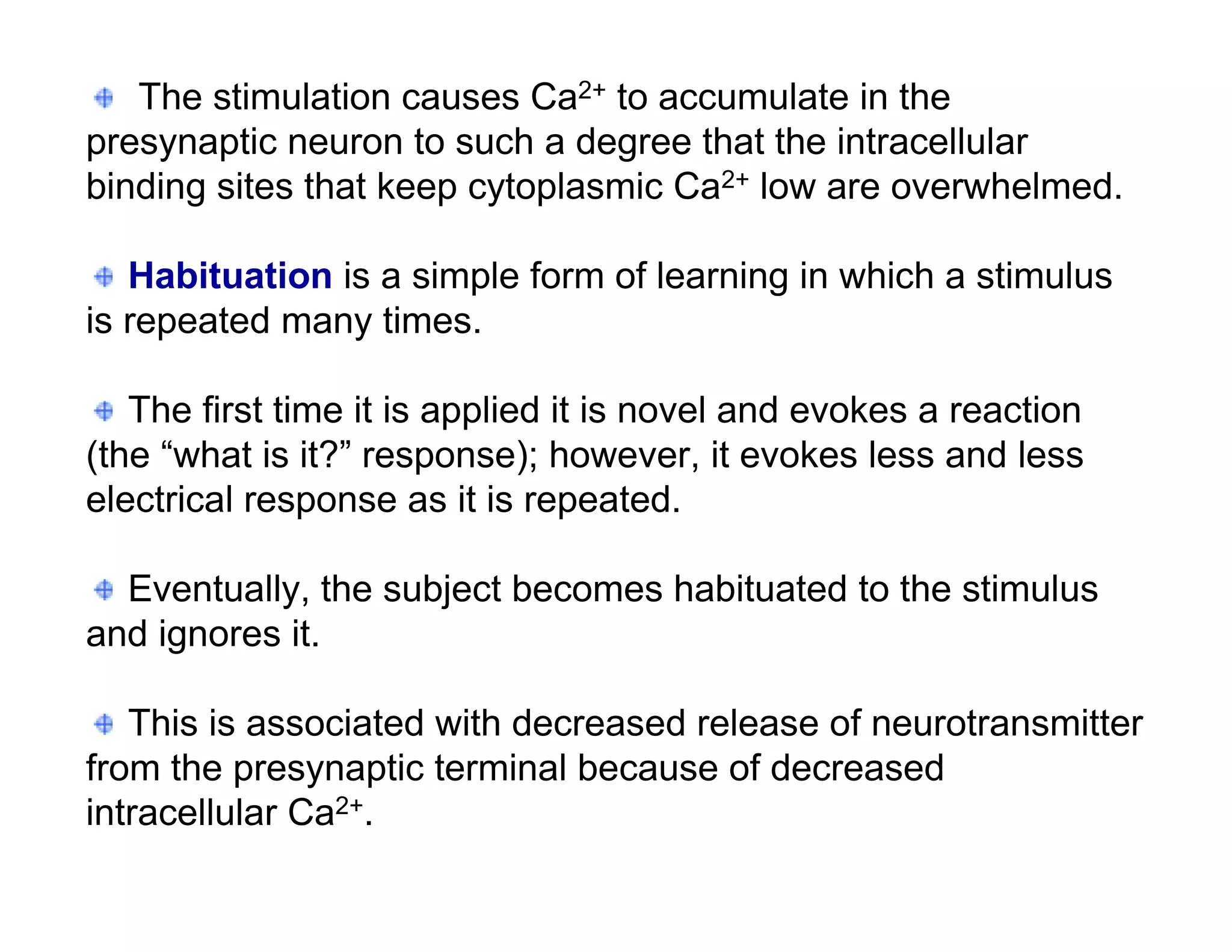 The stimulation causes Ca2+ to accumulate in the
presynaptic neuron to such a degree that the intracellular
binding sites that keep cytoplasmic Ca2+ low are overwhelmed.

   Habituation is a simple form of learning in which a stimulus
is repeated many times.

   The first time it is applied it is novel and evokes a reaction
(the “what is it?” response); however, it evokes less and less
electrical response as it is repeated.

  Eventually, the subject becomes habituated to the stimulus
and ignores it.

   This is associated with decreased release of neurotransmitter
from the presynaptic terminal because of decreased
intracellular Ca2+.
 