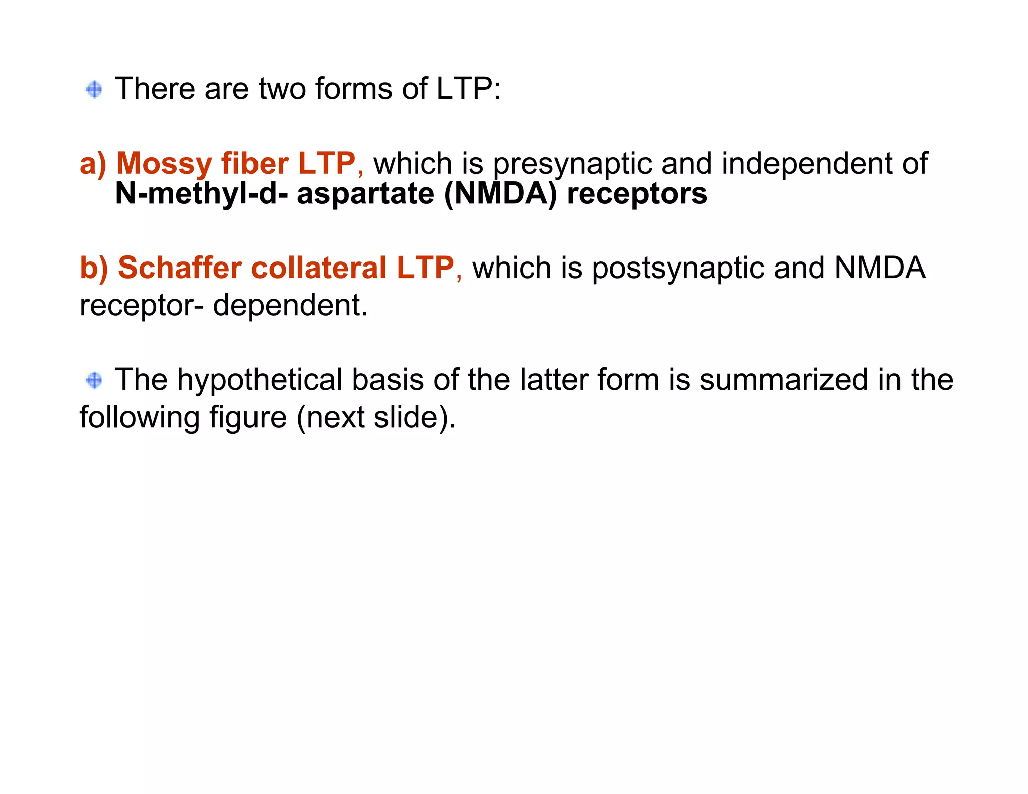 There are two forms of LTP:

a) Mossy fiber LTP, which is presynaptic and independent of
   N-methyl-d- aspartate (NMDA) receptors

b) Schaffer collateral LTP, which is postsynaptic and NMDA
receptor- dependent.

   The hypothetical basis of the latter form is summarized in the
following figure (next slide).
 