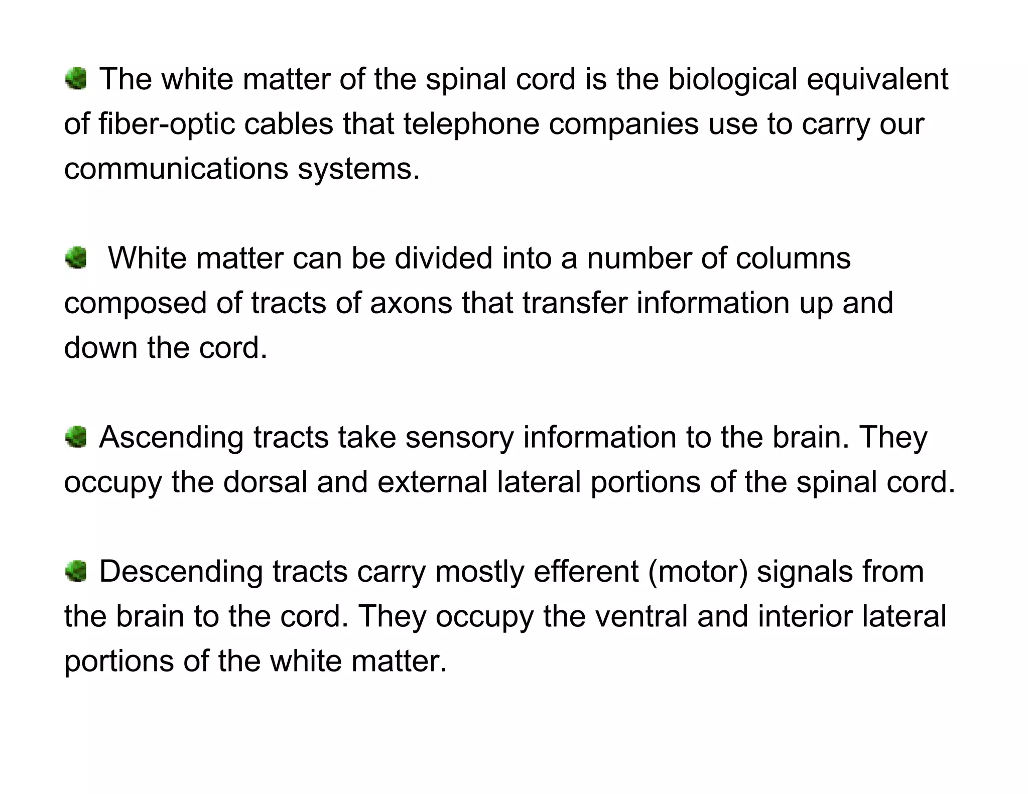 The white matter of the spinal cord is the biological equivalent
of fiber-optic cables that telephone companies use to carry our
communications systems.

  White matter can be divided into a number of columns
composed of tracts of axons that transfer information up and
down the cord.

  Ascending tracts take sensory information to the brain. They
occupy the dorsal and external lateral portions of the spinal cord.

   Descending tracts carry mostly efferent (motor) signals from
the brain to the cord. They occupy the ventral and interior lateral
portions of the white matter.
 