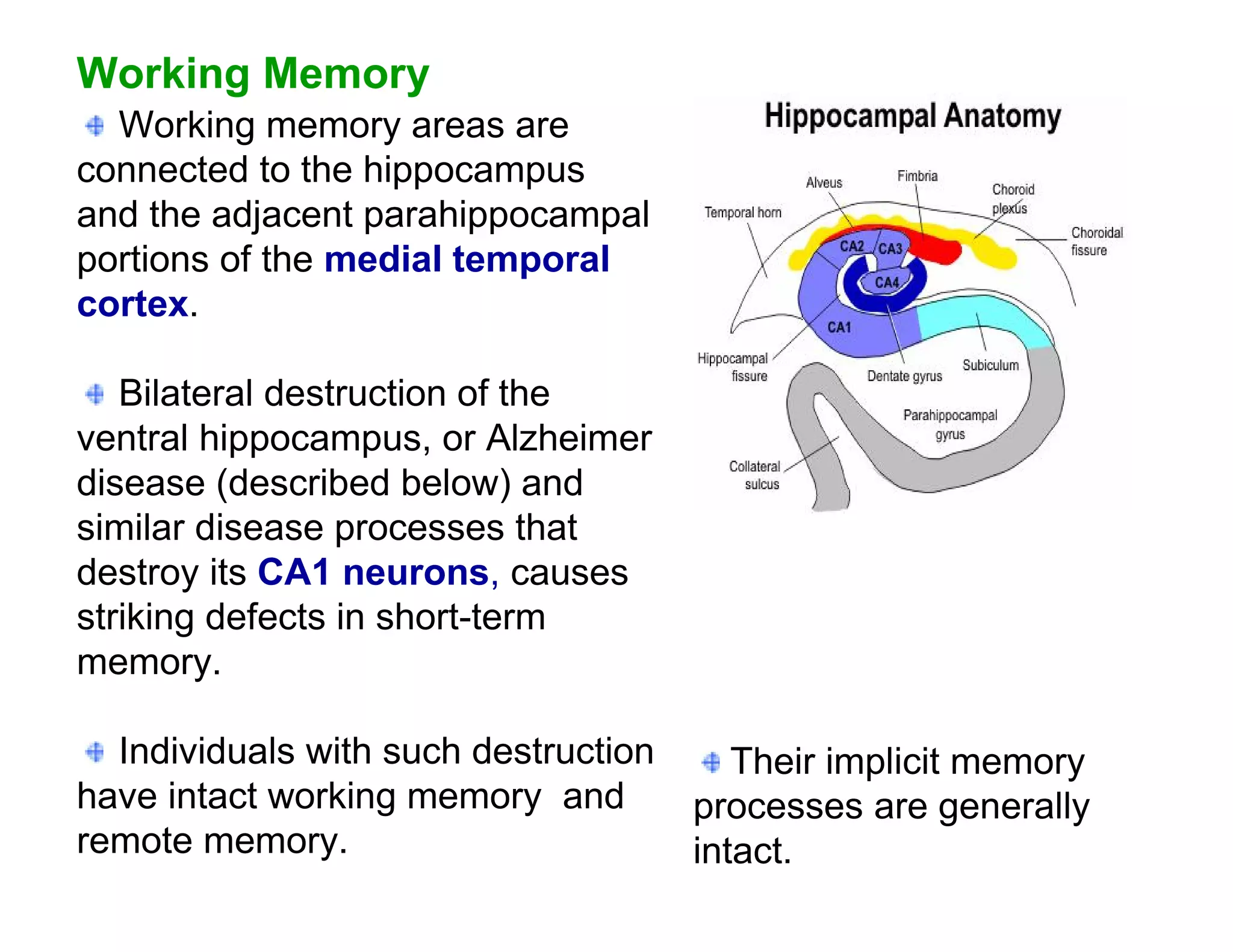 Working Memory
  Working memory areas are
connected to the hippocampus
and the adjacent parahippocampal
portions of the medial temporal
cortex.

   Bilateral destruction of the
ventral hippocampus, or Alzheimer
disease (described below) and
similar disease processes that
destroy its CA1 neurons, causes
striking defects in short-term
memory.

  Individuals with such destruction      Their implicit memory
have intact working memory and        processes are generally
remote memory.                        intact.
 
