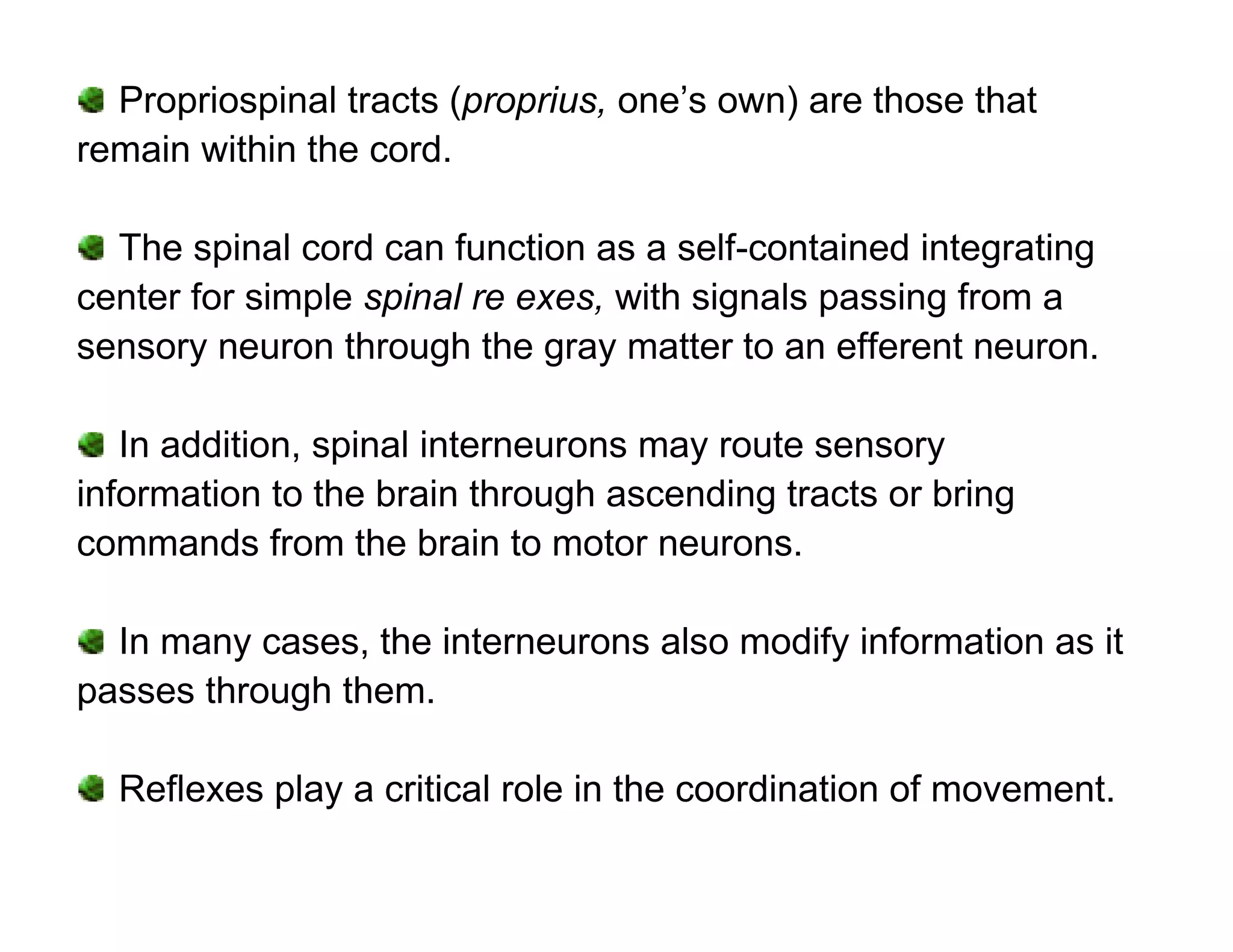 Propriospinal tracts (proprius, one’s own) are those that
remain within the cord.

  The spinal cord can function as a self-contained integrating
center for simple spinal re exes, with signals passing from a
sensory neuron through the gray matter to an efferent neuron.

   In addition, spinal interneurons may route sensory
information to the brain through ascending tracts or bring
commands from the brain to motor neurons.

  In many cases, the interneurons also modify information as it
passes through them.

  Reflexes play a critical role in the coordination of movement.
 