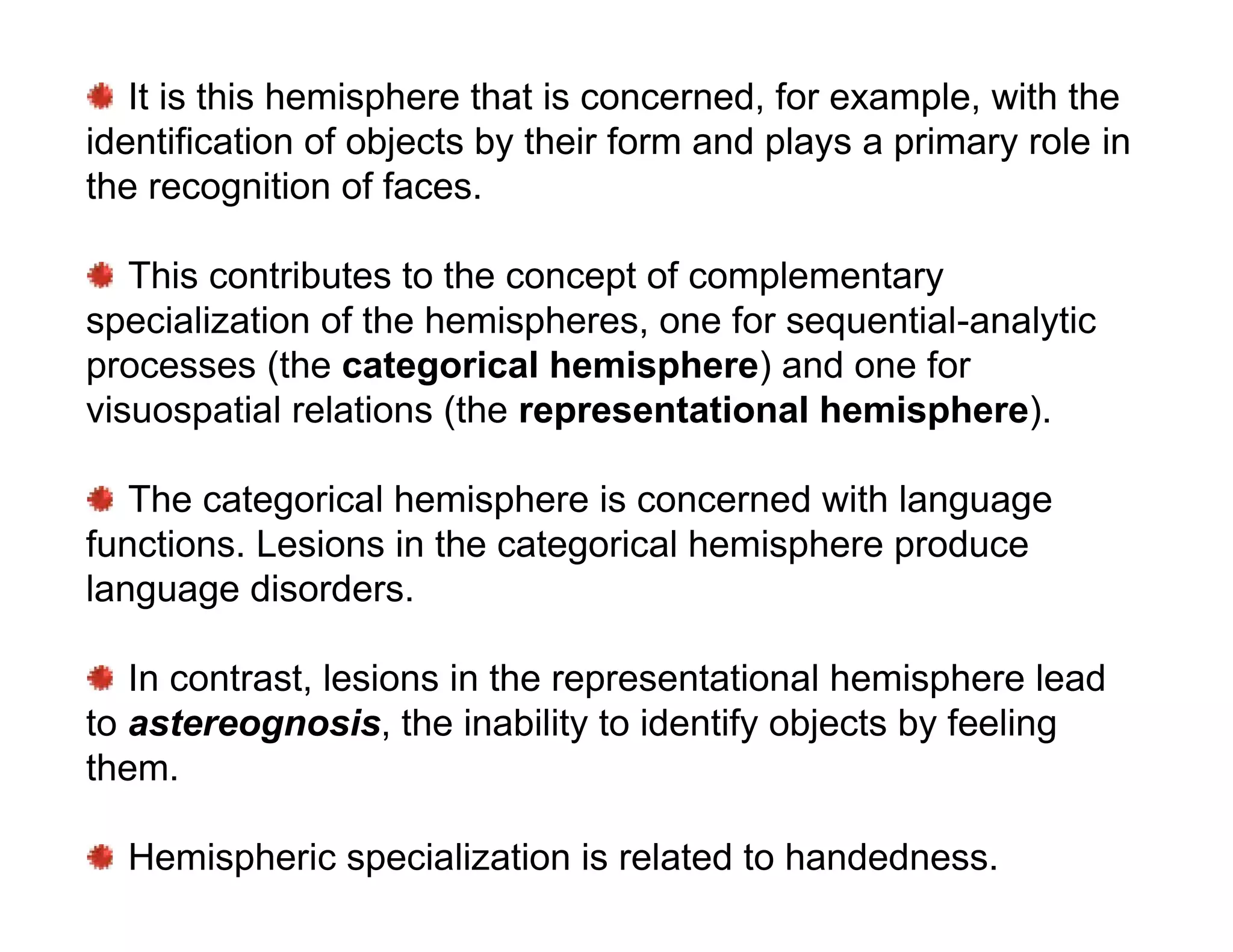 It is this hemisphere that is concerned, for example, with the
identification of objects by their form and plays a primary role in
the recognition of faces.

   This contributes to the concept of complementary
specialization of the hemispheres, one for sequential-analytic
processes (the categorical hemisphere) and one for
visuospatial relations (the representational hemisphere).

   The categorical hemisphere is concerned with language
functions. Lesions in the categorical hemisphere produce
language disorders.

   In contrast, lesions in the representational hemisphere lead
to astereognosis, the inability to identify objects by feeling
them.

  Hemispheric specialization is related to handedness.
 