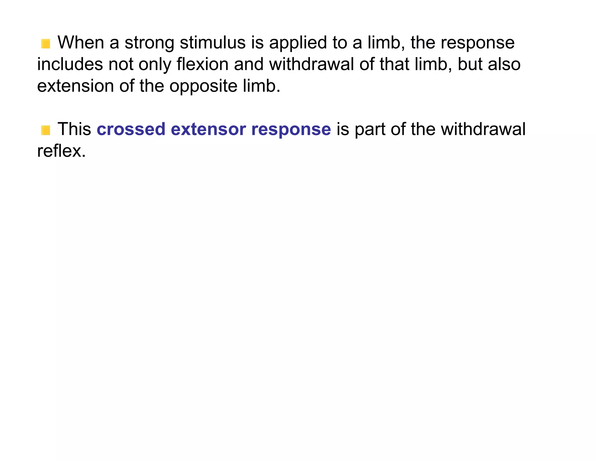 When a strong stimulus is applied to a limb, the response
includes not only flexion and withdrawal of that limb, but also
extension of the opposite limb.

   This crossed extensor response is part of the withdrawal
reflex.
 