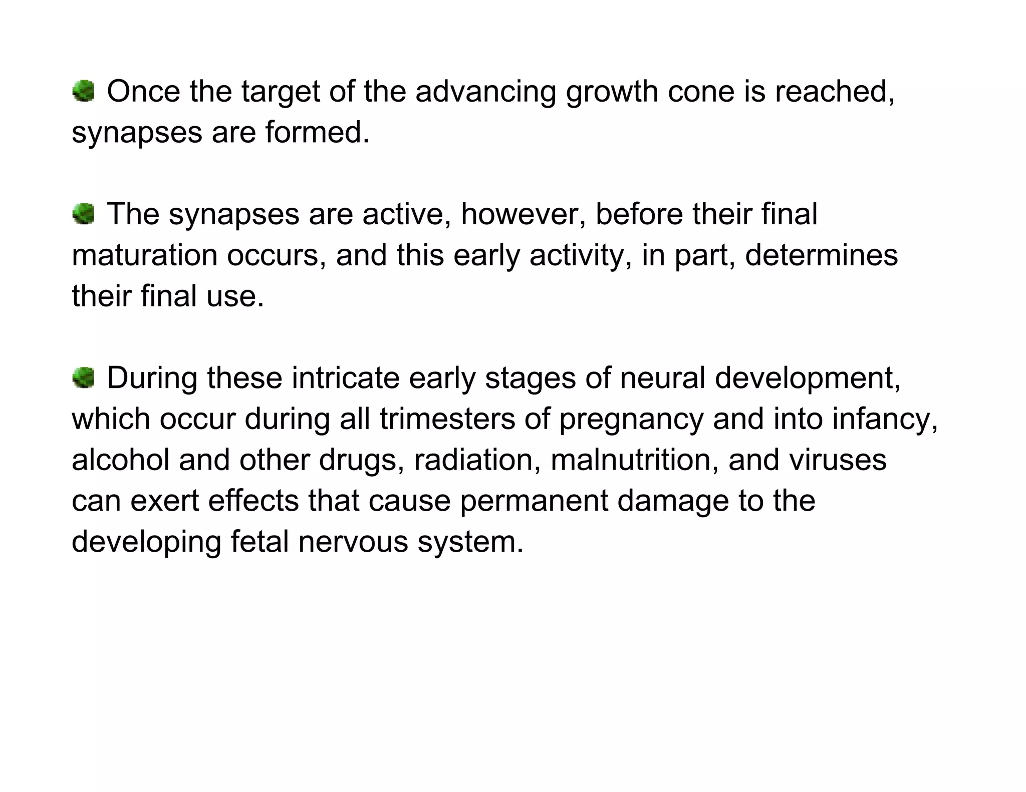 Once the target of the advancing growth cone is reached,
synapses are formed.

   The synapses are active, however, before their final
maturation occurs, and this early activity, in part, determines
their final use.

   During these intricate early stages of neural development,
which occur during all trimesters of pregnancy and into infancy,
alcohol and other drugs, radiation, malnutrition, and viruses
can exert effects that cause permanent damage to the
developing fetal nervous system.
 