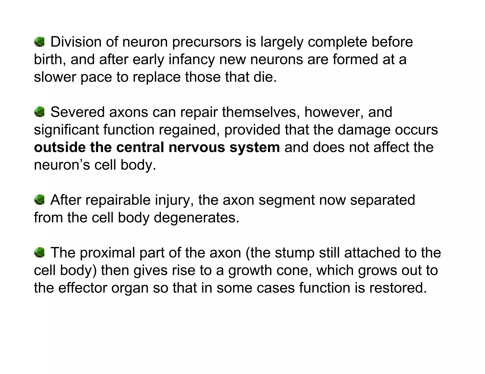 Division of neuron precursors is largely complete before
birth, and after early infancy new neurons are formed at a
slower pace to replace those that die.

   Severed axons can repair themselves, however, and
significant function regained, provided that the damage occurs
outside the central nervous system and does not affect the
neuron’s cell body.

   After repairable injury, the axon segment now separated
from the cell body degenerates.

   The proximal part of the axon (the stump still attached to the
cell body) then gives rise to a growth cone, which grows out to
the effector organ so that in some cases function is restored.
 