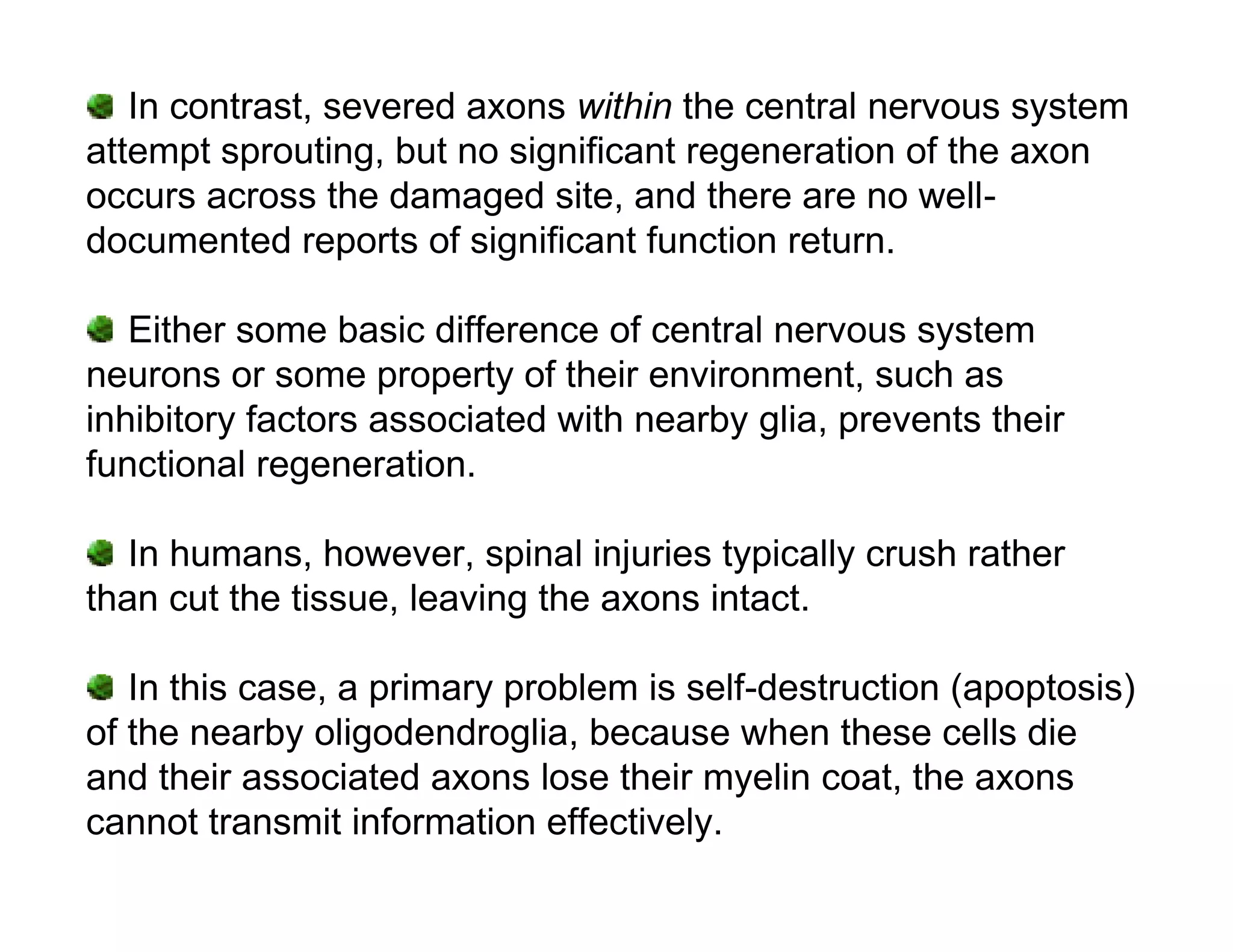 In contrast, severed axons within the central nervous system
attempt sprouting, but no significant regeneration of the axon
occurs across the damaged site, and there are no well-
documented reports of significant function return.

   Either some basic difference of central nervous system
neurons or some property of their environment, such as
inhibitory factors associated with nearby glia, prevents their
functional regeneration.

   In humans, however, spinal injuries typically crush rather
than cut the tissue, leaving the axons intact.

   In this case, a primary problem is self-destruction (apoptosis)
of the nearby oligodendroglia, because when these cells die
and their associated axons lose their myelin coat, the axons
cannot transmit information effectively.
 