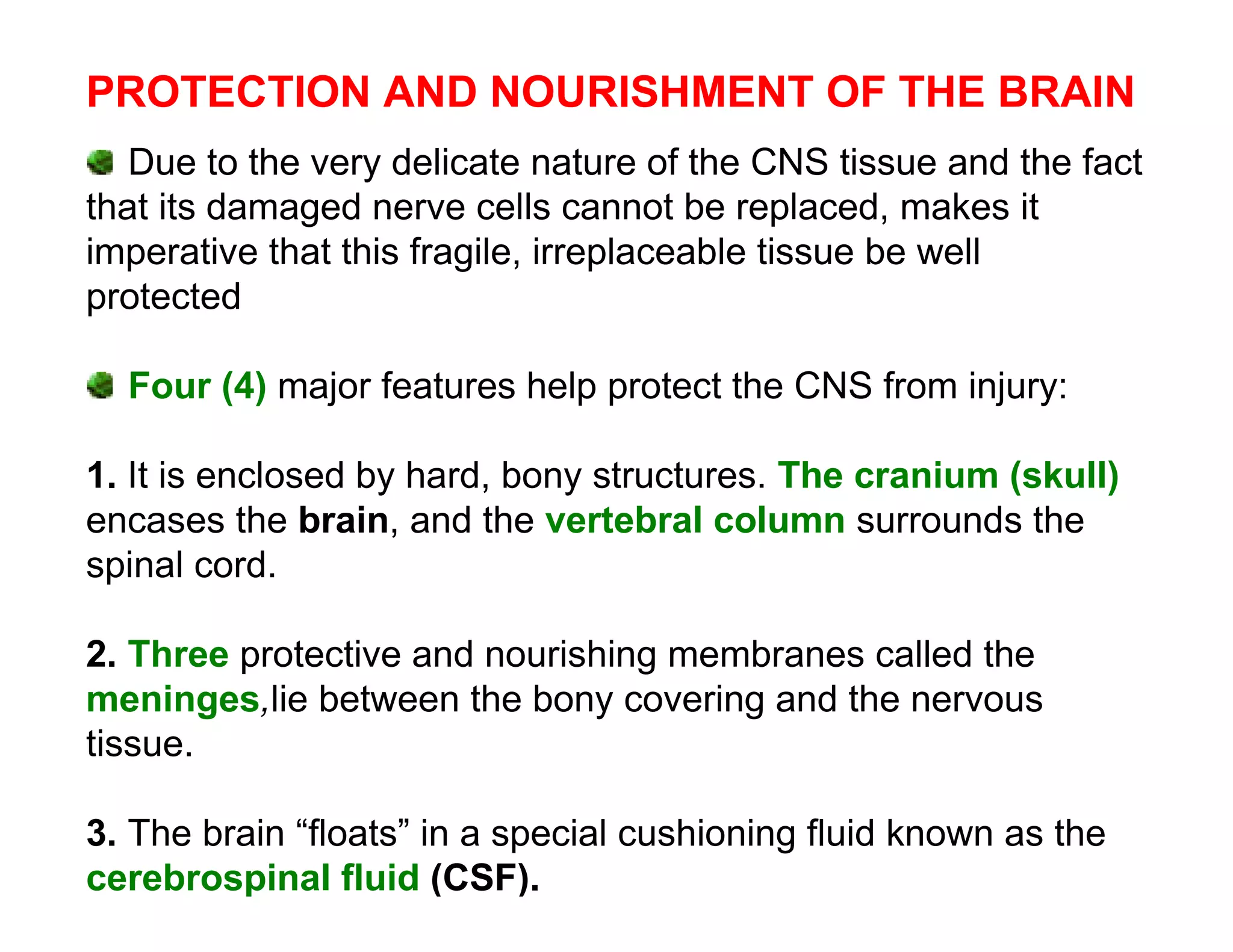 PROTECTION AND NOURISHMENT OF THE BRAIN
   Due to the very delicate nature of the CNS tissue and the fact
that its damaged nerve cells cannot be replaced, makes it
imperative that this fragile, irreplaceable tissue be well
protected

  Four (4) major features help protect the CNS from injury:

1. It is enclosed by hard, bony structures. The cranium (skull)
encases the brain, and the vertebral column surrounds the
spinal cord.

2. Three protective and nourishing membranes called the
meninges,lie between the bony covering and the nervous
tissue.

3. The brain “floats” in a special cushioning fluid known as the
cerebrospinal fluid (CSF).
 