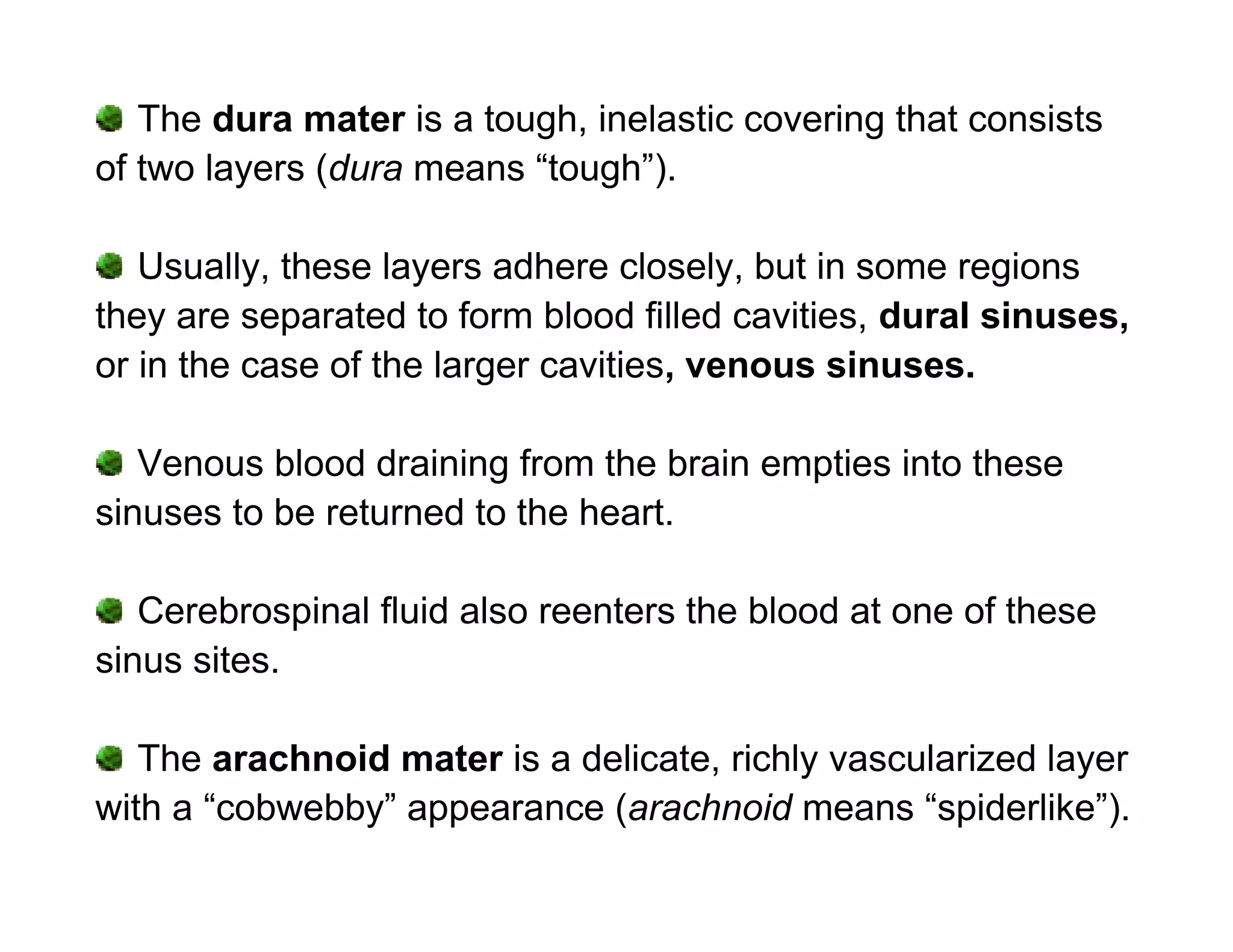The dura mater is a tough, inelastic covering that consists
of two layers (dura means “tough”).

   Usually, these layers adhere closely, but in some regions
they are separated to form blood filled cavities, dural sinuses,
or in the case of the larger cavities, venous sinuses.

   Venous blood draining from the brain empties into these
sinuses to be returned to the heart.

   Cerebrospinal fluid also reenters the blood at one of these
sinus sites.

   The arachnoid mater is a delicate, richly vascularized layer
with a “cobwebby” appearance (arachnoid means “spiderlike”).
 