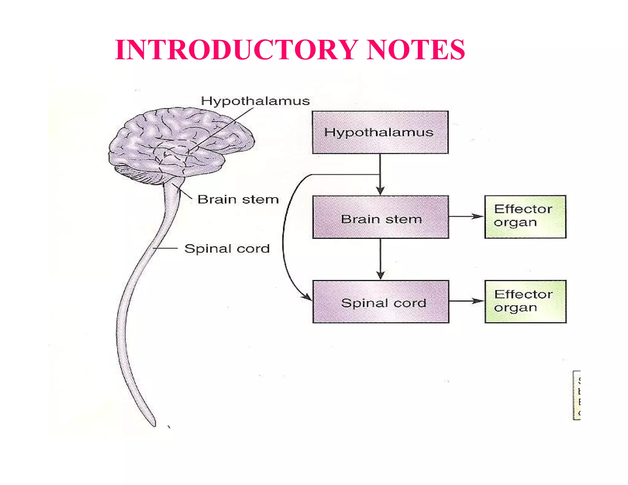 INTRODUCTORY NOTES
 