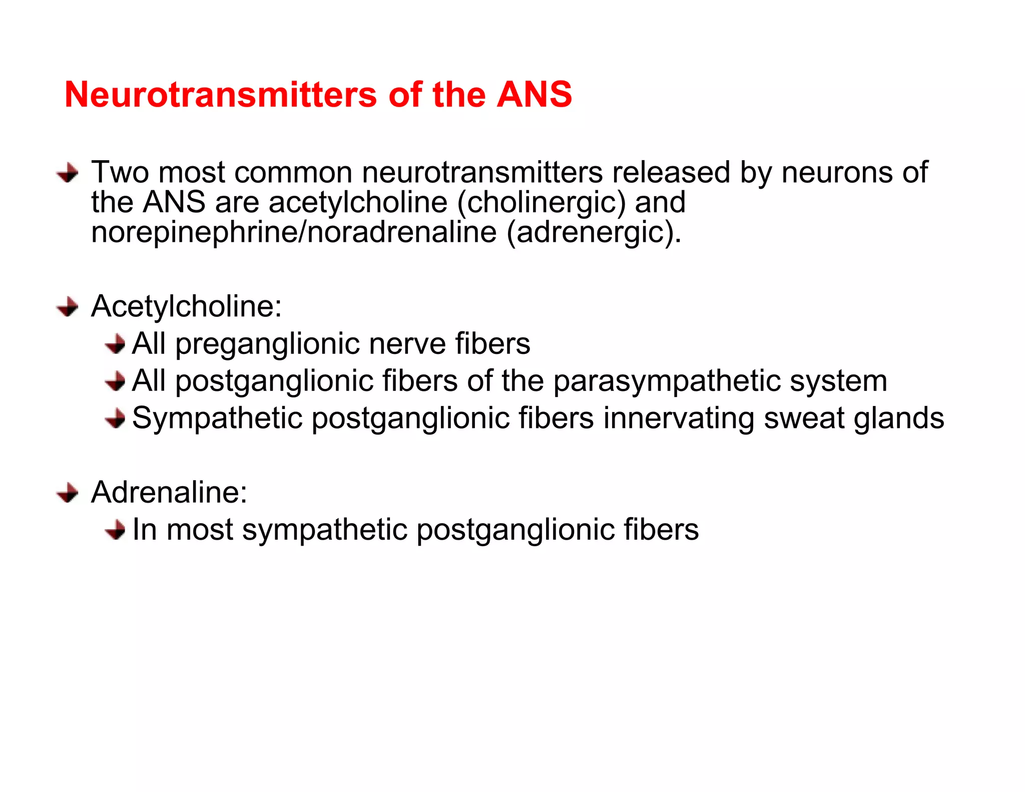 Neurotransmitters of the ANS

 Two most common neurotransmitters released by neurons of
 the ANS are acetylcholine (cholinergic) and
 norepinephrine/noradrenaline (adrenergic).

 Acetylcholine:
   All preganglionic nerve fibers
   All postganglionic fibers of the parasympathetic system
   Sympathetic postganglionic fibers innervating sweat glands

 Adrenaline:
   In most sympathetic postganglionic fibers
 