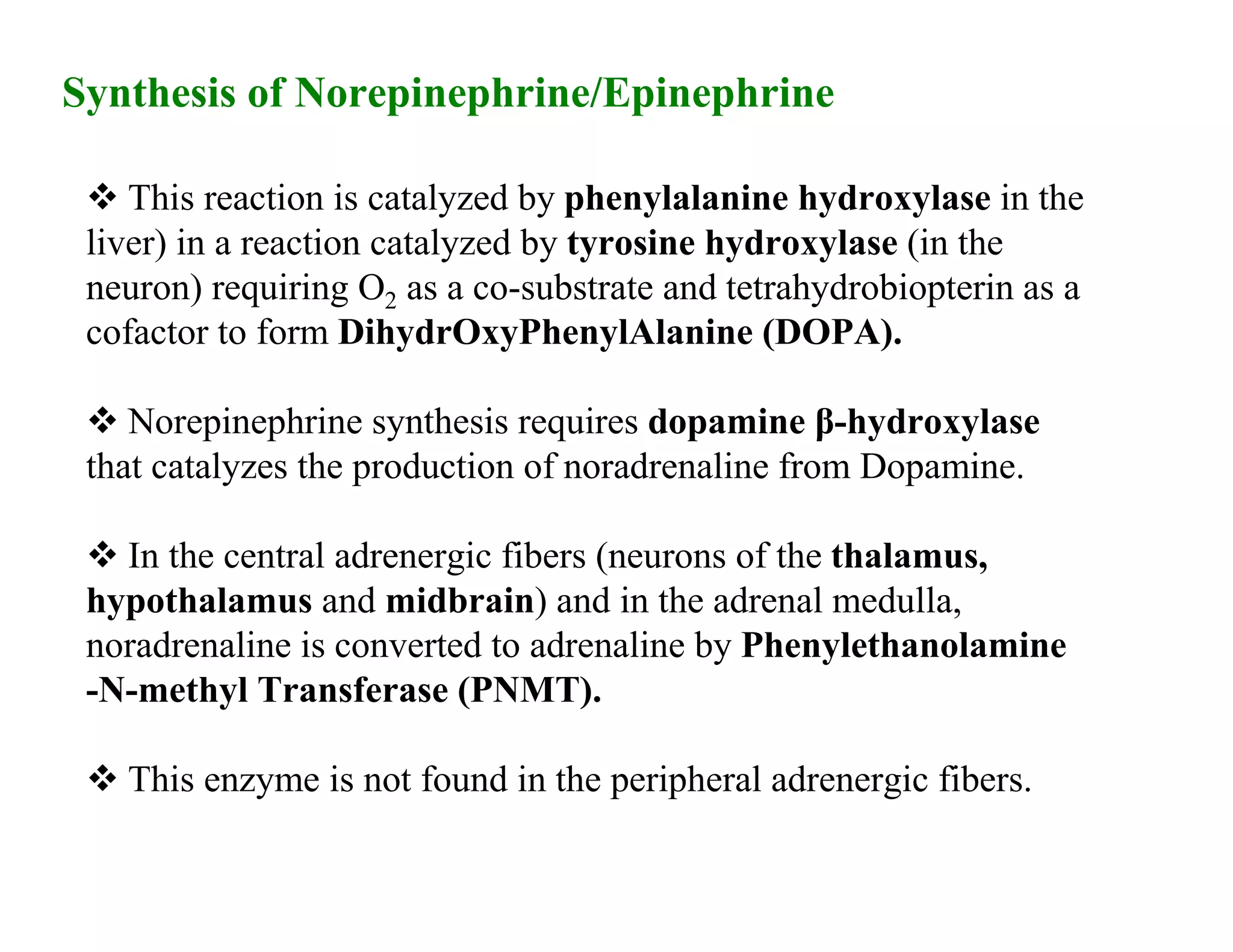 Synthesis of Norepinephrine/Epinephrine

  This reaction is catalyzed by phenylalanine hydroxylase in the
 liver) in a reaction catalyzed by tyrosine hydroxylase (in the
 neuron) requiring O2 as a co-substrate and tetrahydrobiopterin as a
 cofactor to form DihydrOxyPhenylAlanine (DOPA).

  Norepinephrine synthesis requires dopamine β-hydroxylase
 that catalyzes the production of noradrenaline from Dopamine.

  In the central adrenergic fibers (neurons of the thalamus,
 hypothalamus and midbrain) and in the adrenal medulla,
 noradrenaline is converted to adrenaline by Phenylethanolamine
 -N-methyl Transferase (PNMT).

  This enzyme is not found in the peripheral adrenergic fibers.
 