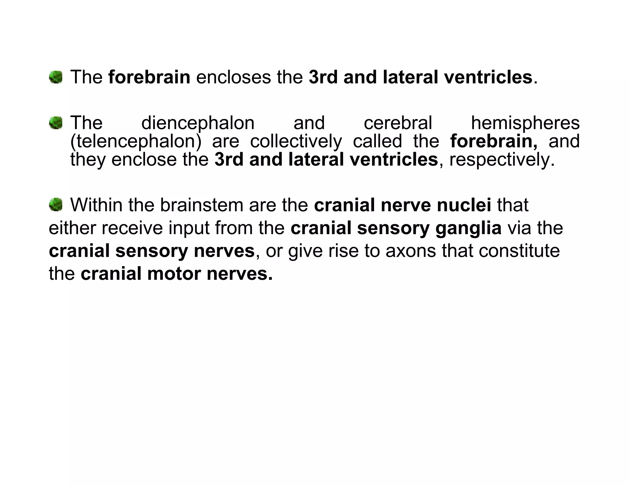 The forebrain encloses the 3rd and lateral ventricles.

  The     diencephalon      and     cerebral     hemispheres
  (telencephalon) are collectively called the forebrain, and
  they enclose the 3rd and lateral ventricles, respectively.

   Within the brainstem are the cranial nerve nuclei that
either receive input from the cranial sensory ganglia via the
cranial sensory nerves, or give rise to axons that constitute
the cranial motor nerves.
 