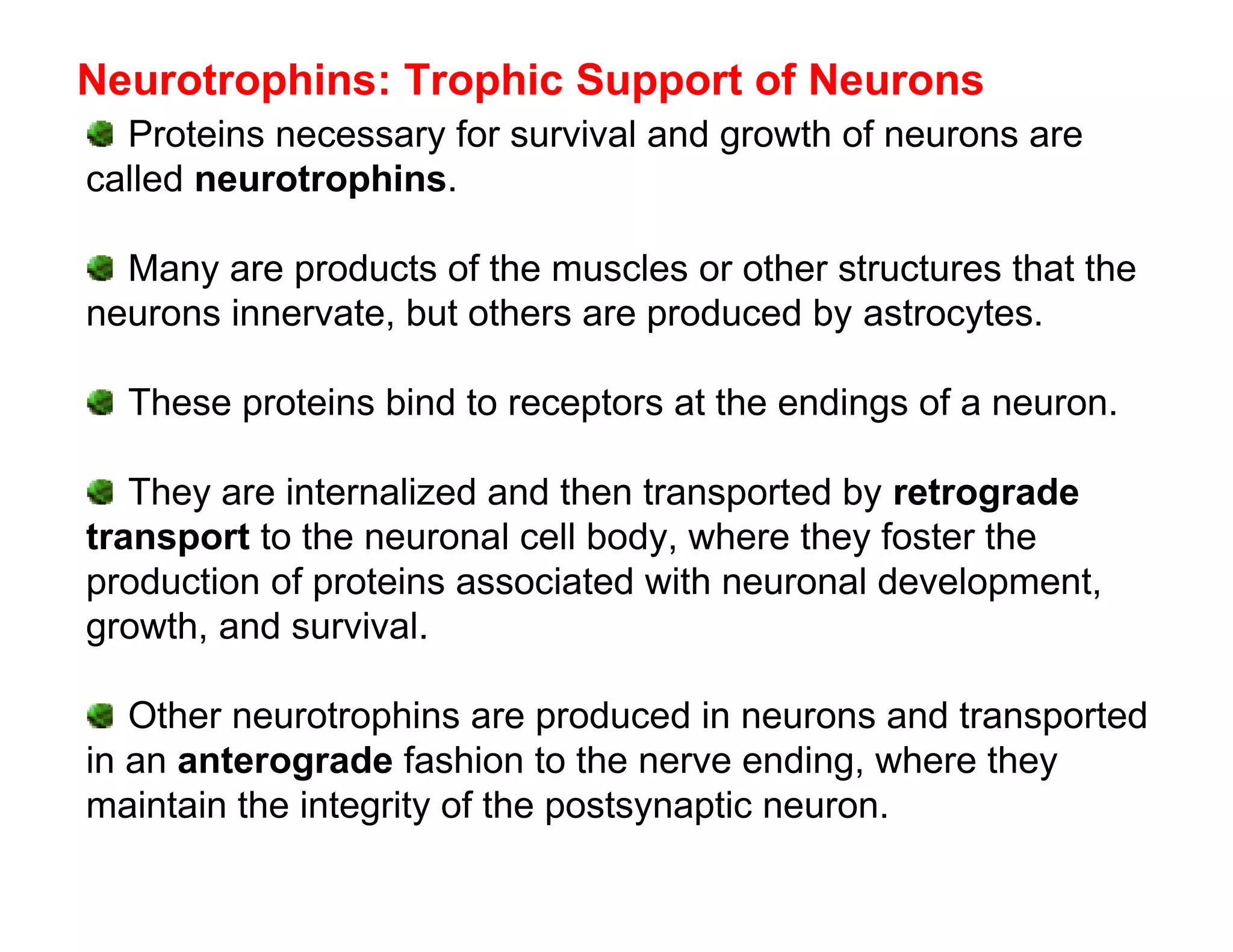 Neurotrophins: Trophic Support of Neurons
  Proteins necessary for survival and growth of neurons are
called neurotrophins.

  Many are products of the muscles or other structures that the
neurons innervate, but others are produced by astrocytes.

  These proteins bind to receptors at the endings of a neuron.

   They are internalized and then transported by retrograde
transport to the neuronal cell body, where they foster the
production of proteins associated with neuronal development,
growth, and survival.

   Other neurotrophins are produced in neurons and transported
in an anterograde fashion to the nerve ending, where they
maintain the integrity of the postsynaptic neuron.
 