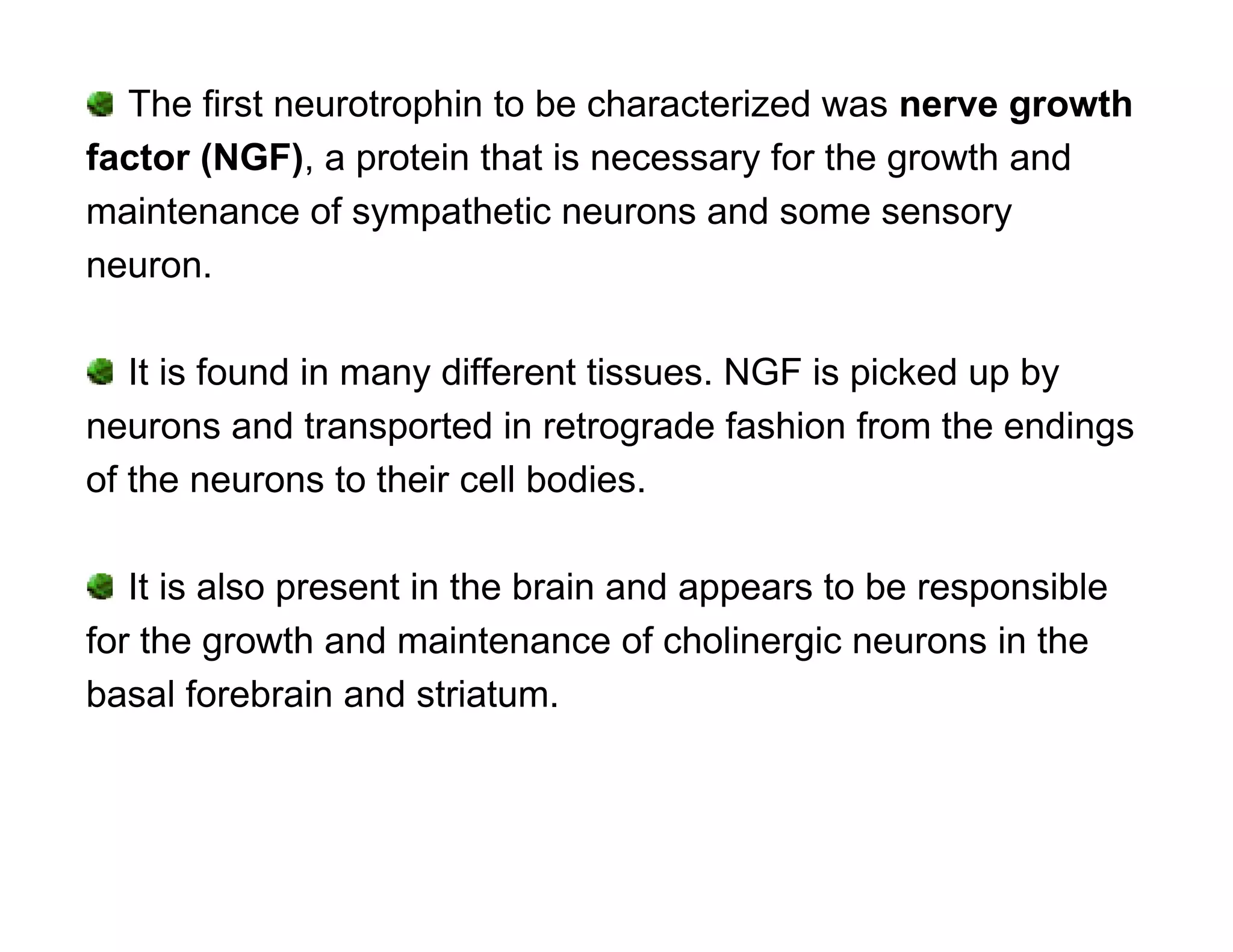 The first neurotrophin to be characterized was nerve growth
factor (NGF), a protein that is necessary for the growth and
maintenance of sympathetic neurons and some sensory
neuron.

   It is found in many different tissues. NGF is picked up by
neurons and transported in retrograde fashion from the endings
of the neurons to their cell bodies.

   It is also present in the brain and appears to be responsible
for the growth and maintenance of cholinergic neurons in the
basal forebrain and striatum.
 
