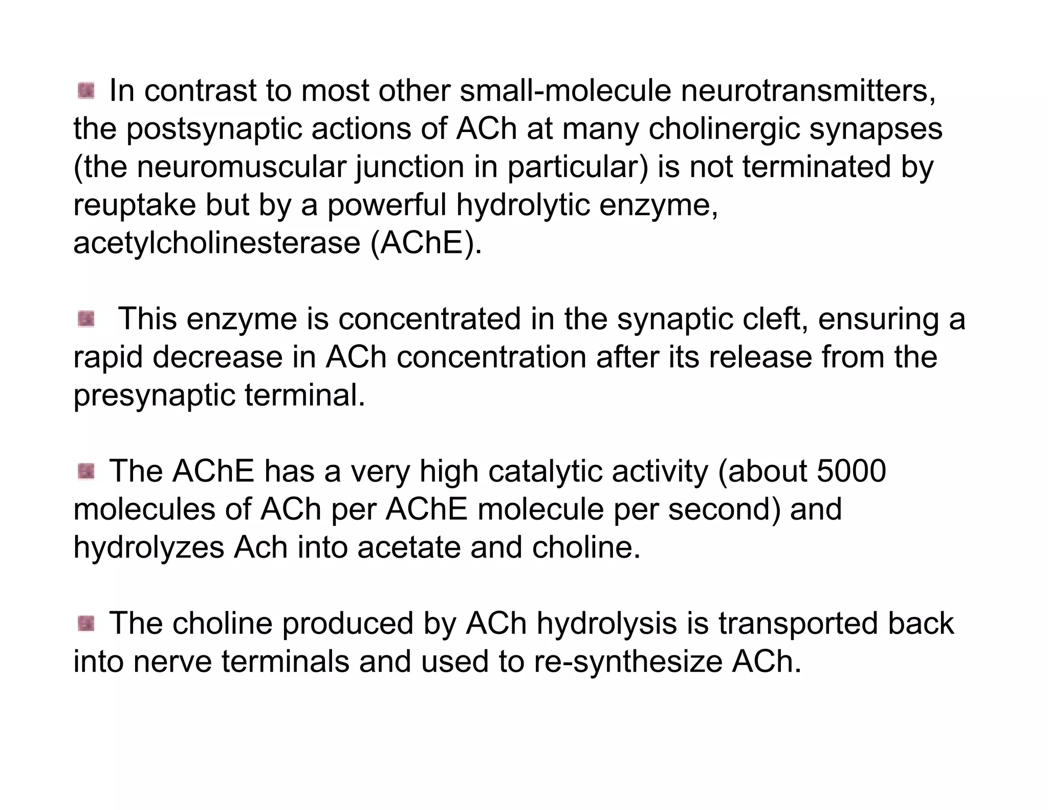 In contrast to most other small-molecule neurotransmitters,
the postsynaptic actions of ACh at many cholinergic synapses
(the neuromuscular junction in particular) is not terminated by
reuptake but by a powerful hydrolytic enzyme,
acetylcholinesterase (AChE).

   This enzyme is concentrated in the synaptic cleft, ensuring a
rapid decrease in ACh concentration after its release from the
presynaptic terminal.

  The AChE has a very high catalytic activity (about 5000
molecules of ACh per AChE molecule per second) and
hydrolyzes Ach into acetate and choline.

   The choline produced by ACh hydrolysis is transported back
into nerve terminals and used to re-synthesize ACh.
 